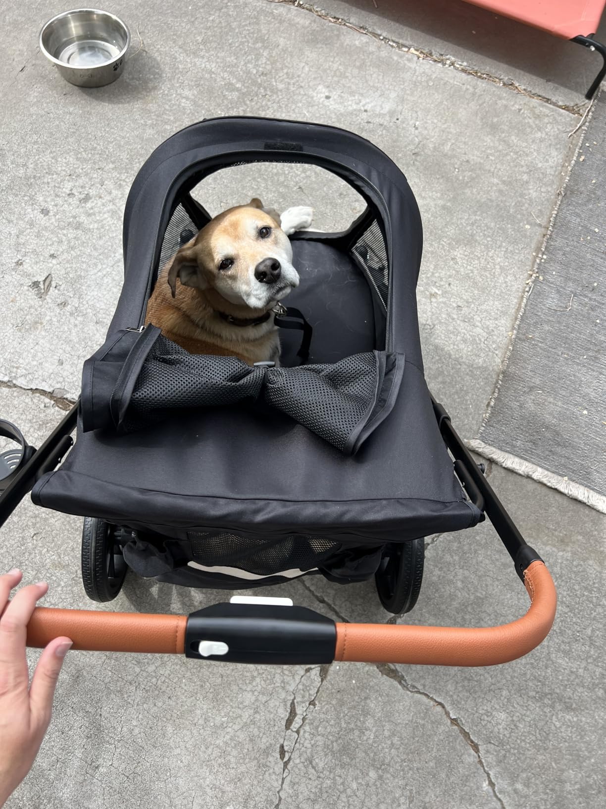 Dog Stroller for Large Dogs One-Click Folding 4 Wheel Foldable Dog Stroller for 2 Dogs with Storage Pocket Suitable for Pets Up to 80LBS (Black, Large) customer photo 2