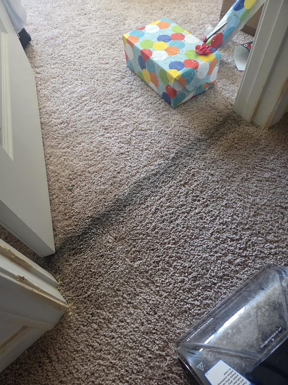 BISSELL Revolution HydroSteam Carpet Cleaner, 4123 | HydroSteam technology; 4-in. self-cleaning tough stain tool; formulas included; upright deep cleaner customer photo 1