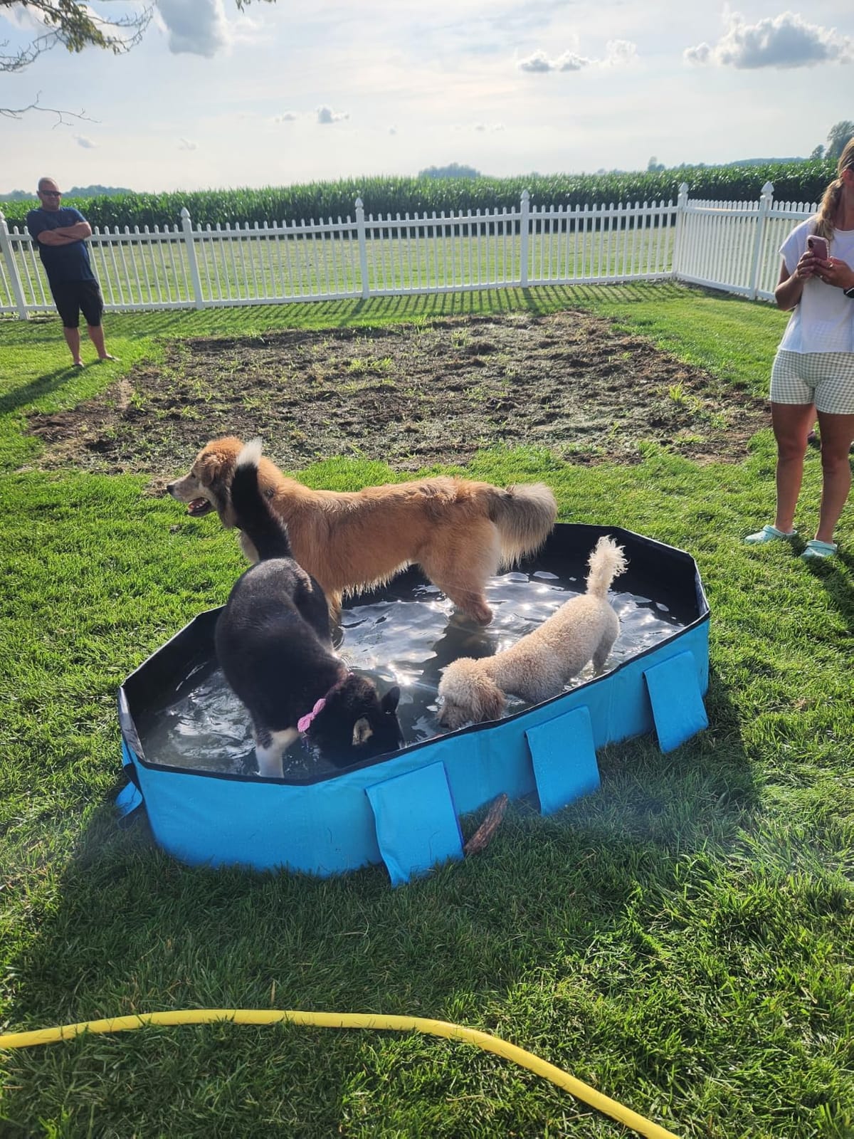 Peteast Dog Pool for Large Dogs, Foldable Hard Plastic, 71 x 39 x 12 in | Extra Large Collapsible Pet Bath Tub with Non-Slip Base for Indoor, Outdoor and Backyard Use, Blue customer photo 1