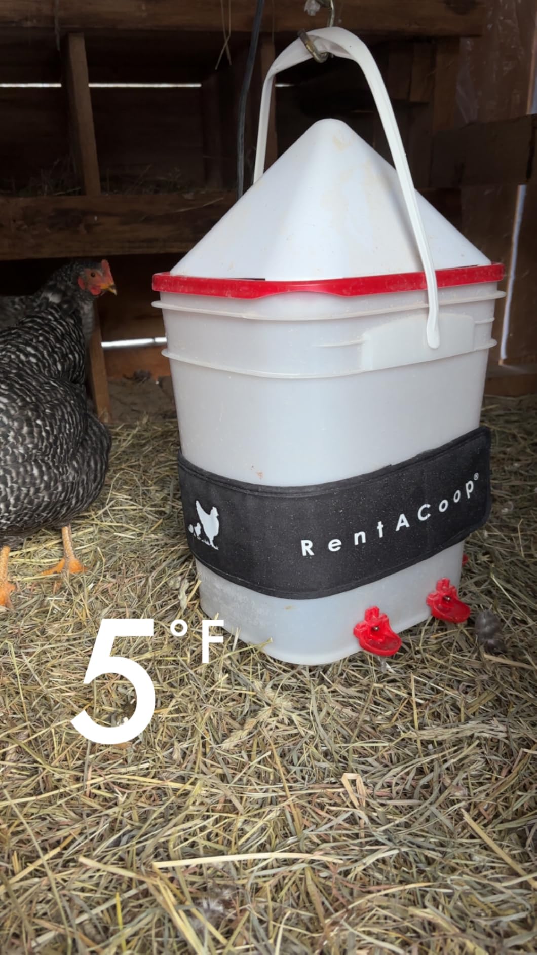 RentACoop Heated Chicken Waterer Belt for Winter, Thermo Bucket Heater Strap LG with Insulated Wrap for 2-5 Gal, 40W Energy Efficient, Safe to -10°F, Auto Thermostat customer photo 2