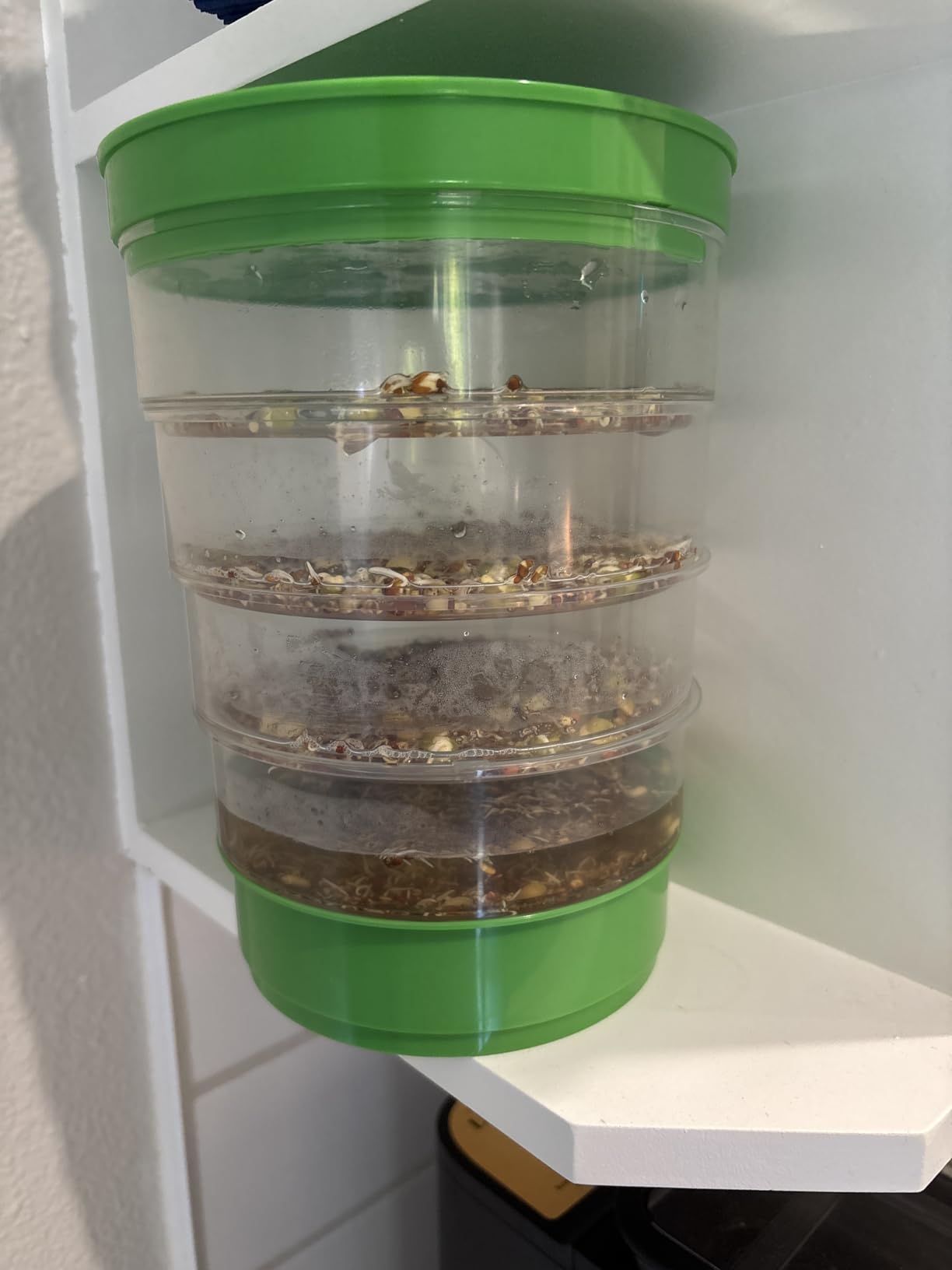 AOMGD 4-Tier Microgreens Growing Seed Sprouting Tray | Indoor Soil-Free System, BPA Free Seed Germination Kit, For Salad Greens, Alfalfa & Broccoli customer photo 2
