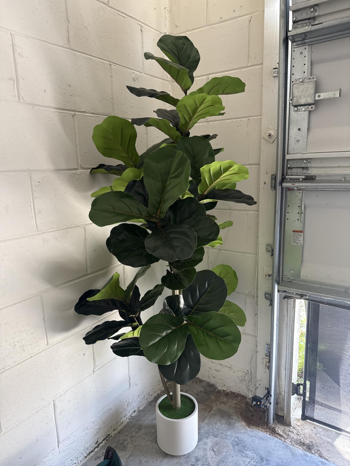 VIVATREES 6FT Fiddle Leaf Fig Artificial Tree with White Planter Pot, Faux Floor Plant, Indoor and Outdoor Fake Plants for Home Office Decor customer photo 1