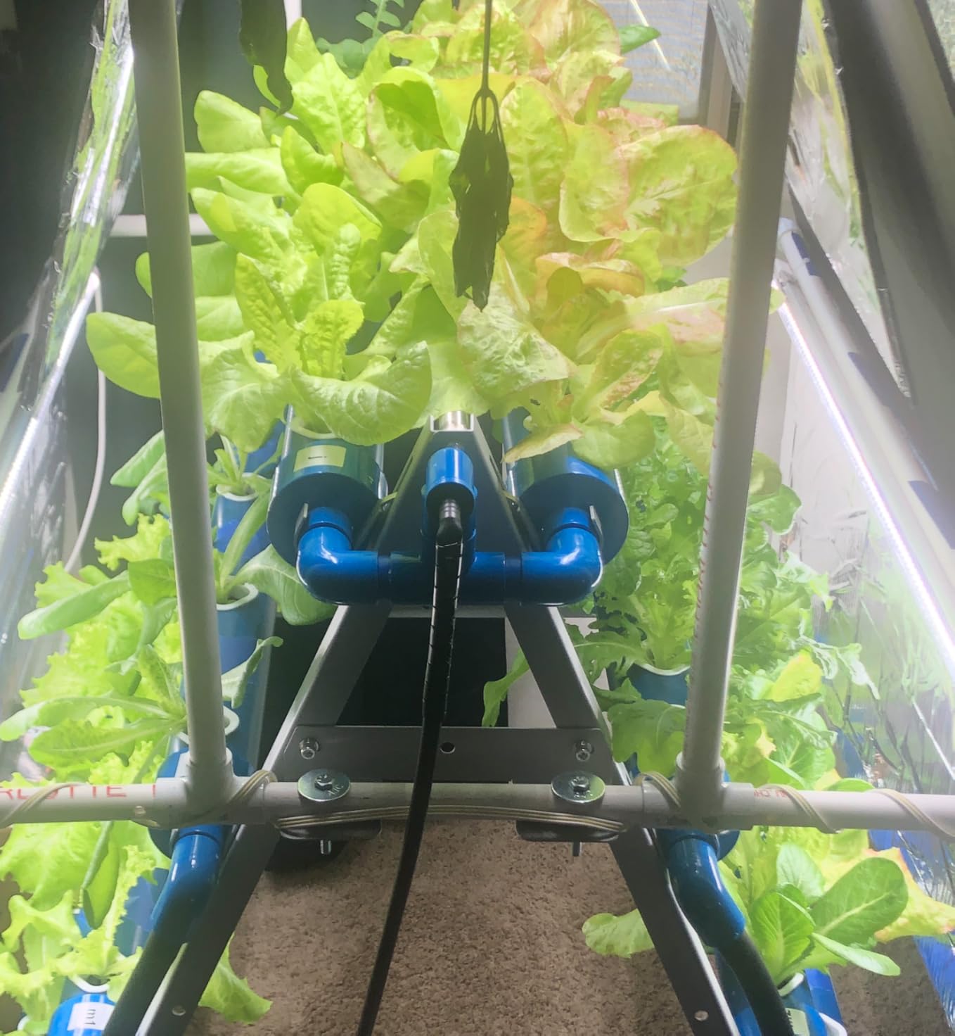 A-Type 72 Plant Sites Hydroponics Growing System Kit with Light Blocking | Easy to Install, Food-Grade PVC Pipes, with Water Pump Timer, Sponge and Hole Cover for Leafy Greens, Indoor & Outdoor Use customer photo 2