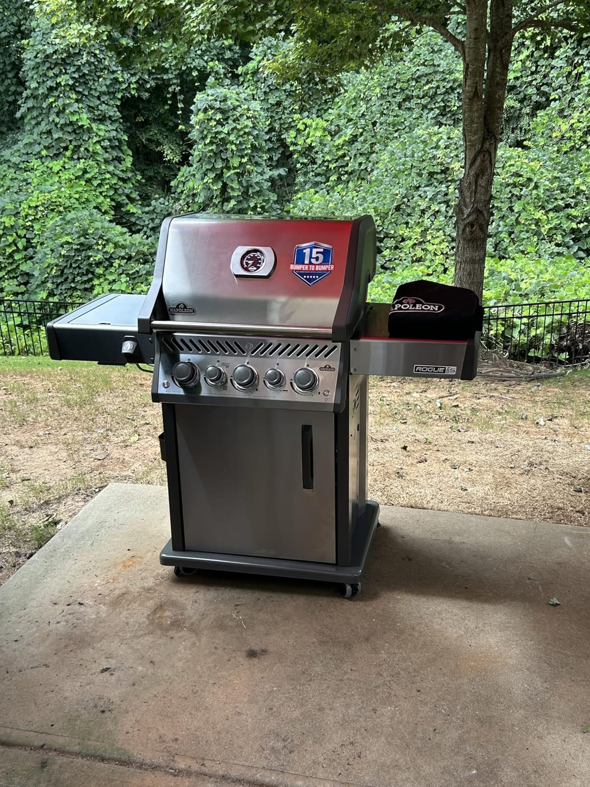Rogue PRO-S 425 3-Burner Propane Grill - Rear & Side Burner | Stainless Steel, 70,500 BTUs, 716in² Area, SafetyGlow Knobs, Folding Shelf, Stainless Steel Grates, Infrared Burners customer photo 2