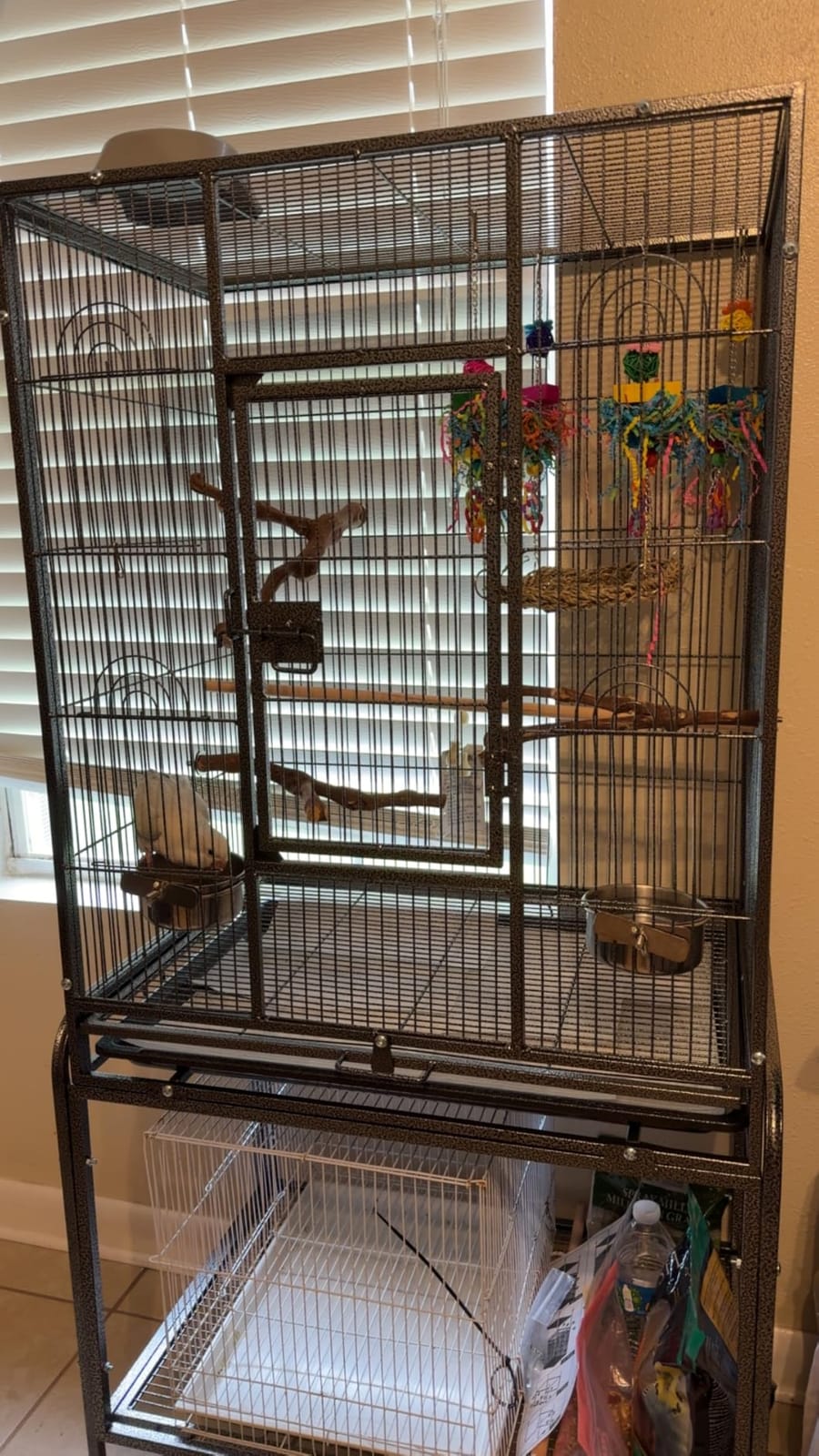 VINGLI 53-inch Bird Cage with Wheels, Durable Wrought Iron Parakeet Cage with Slide Out Tray, Black Bird Cages for Parakeets/Lovebird/Cockatiels/Budgies and Other Small/Medium Birds customer photo 1