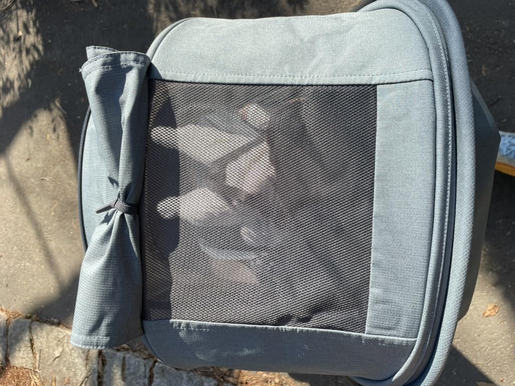 UPPAbaby Minu V3 Travel Stroller - Lightweight & Compact - Greyson | Lightweight at 16 lbs, fits in overhead bins, able to be used from birth, large basket holds up to 20 lbs customer photo 2