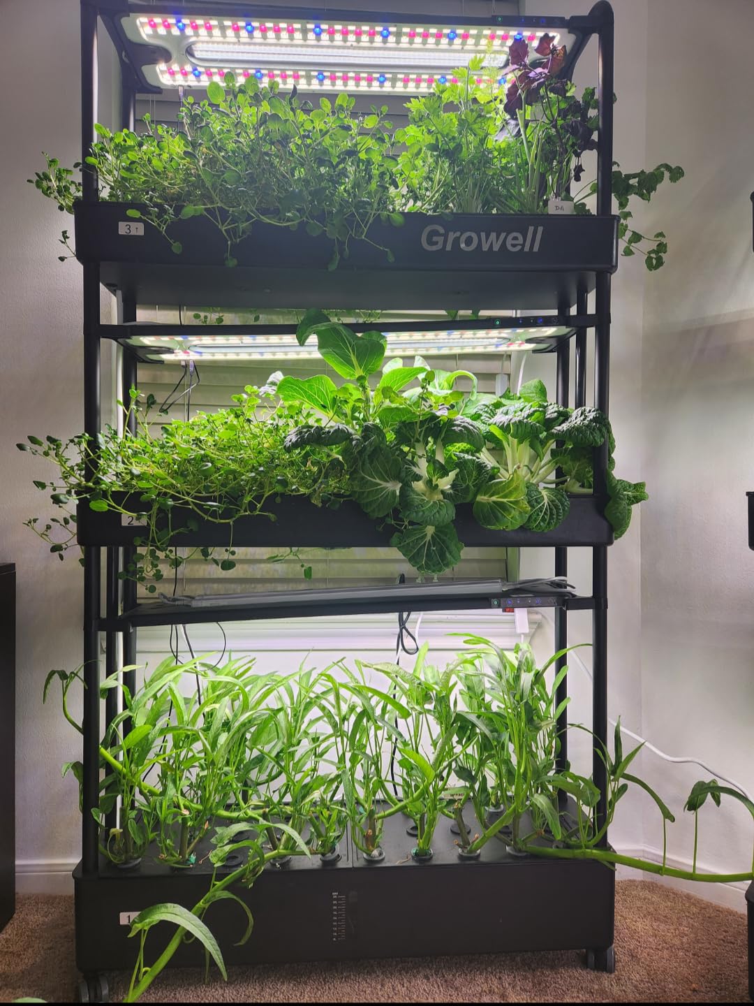 Growell Large Hydroponics Growing System Kit, 120 Pods Vertical Hydroponic Garden with 2 Light Modes Grow Light, Auto Circulating Water System, 48L Indoor Gardening System for Herb Vegetable Fruit customer photo 1