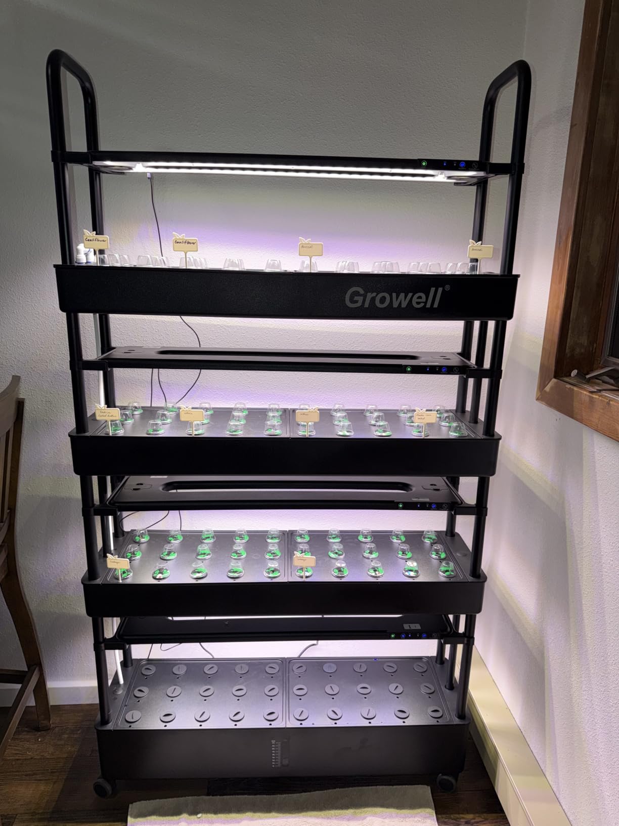 Growell Large Hydroponics Growing System Kit, 120 Pods Vertical Hydroponic Garden with 2 Light Modes Grow Light, Auto Circulating Water System, 48L Indoor Gardening System for Herb Vegetable Fruit customer photo 2