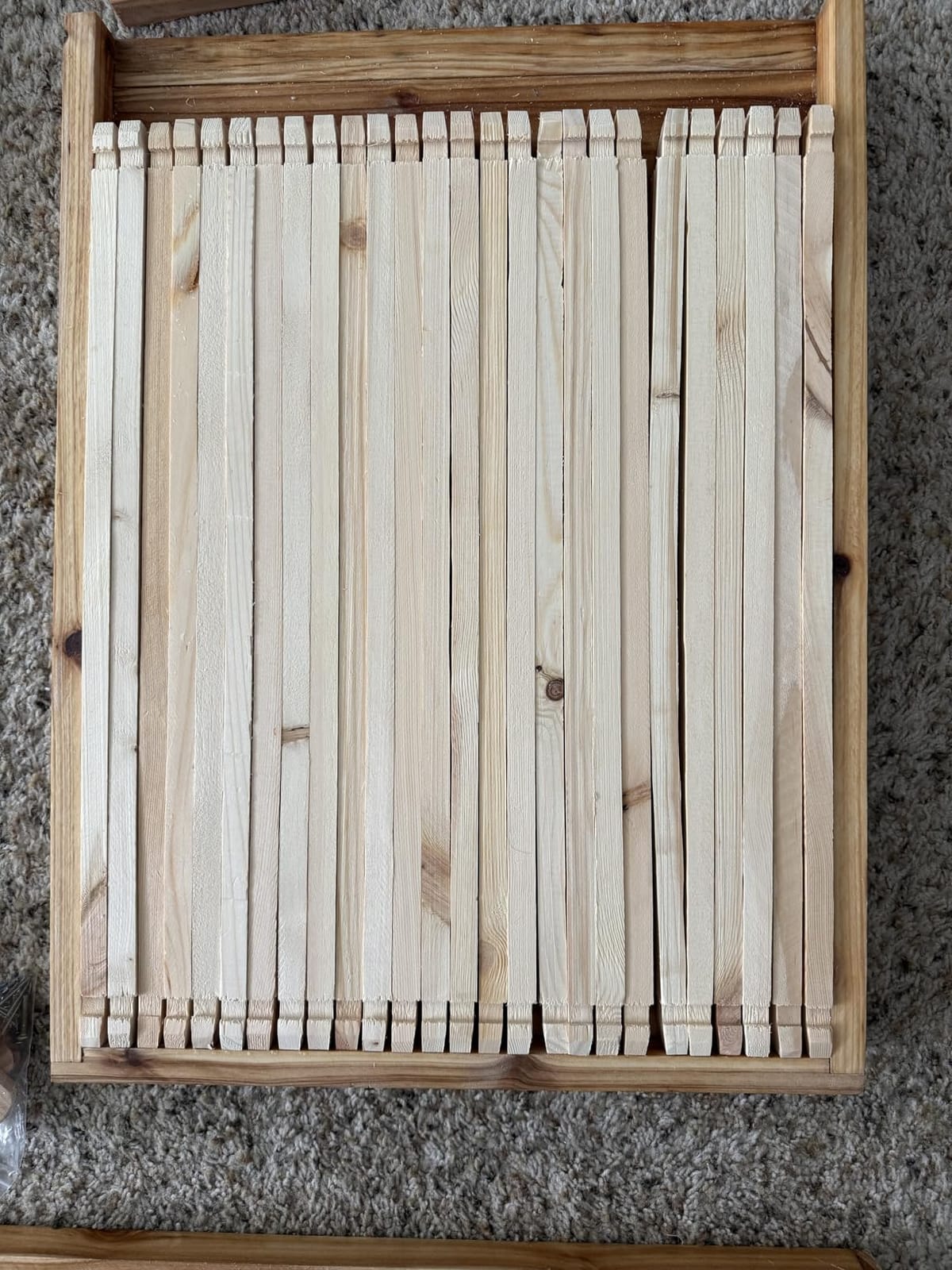 VEVOR Bee Hive 10 Frame Bee Hives Starter Kit, Beeswax Coated Fir Wood, 1 Deep + 1 Medium Bee Boxes Langstroth Beehive Kit, Transparent Acrylic Windows with Foundations for Beginners Pro Beekeepers customer photo 2
