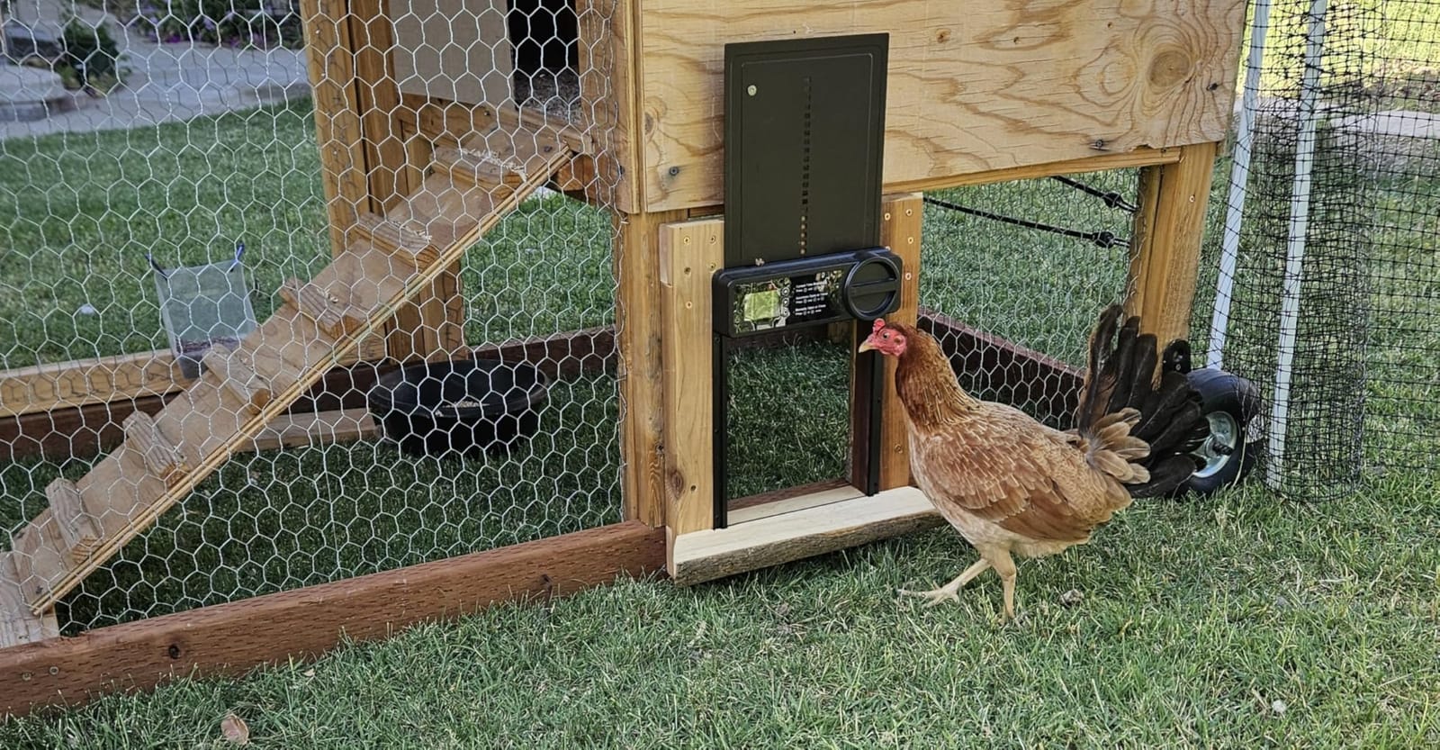 Automatic Chicken Coop Door, Battery Powered Electric Chicken Coop Door with Smart Timer, Anti-Pinch Sensor, LCD Display& Low Battery Reminder for Hens, Ducks, Geese Poultry customer photo 2