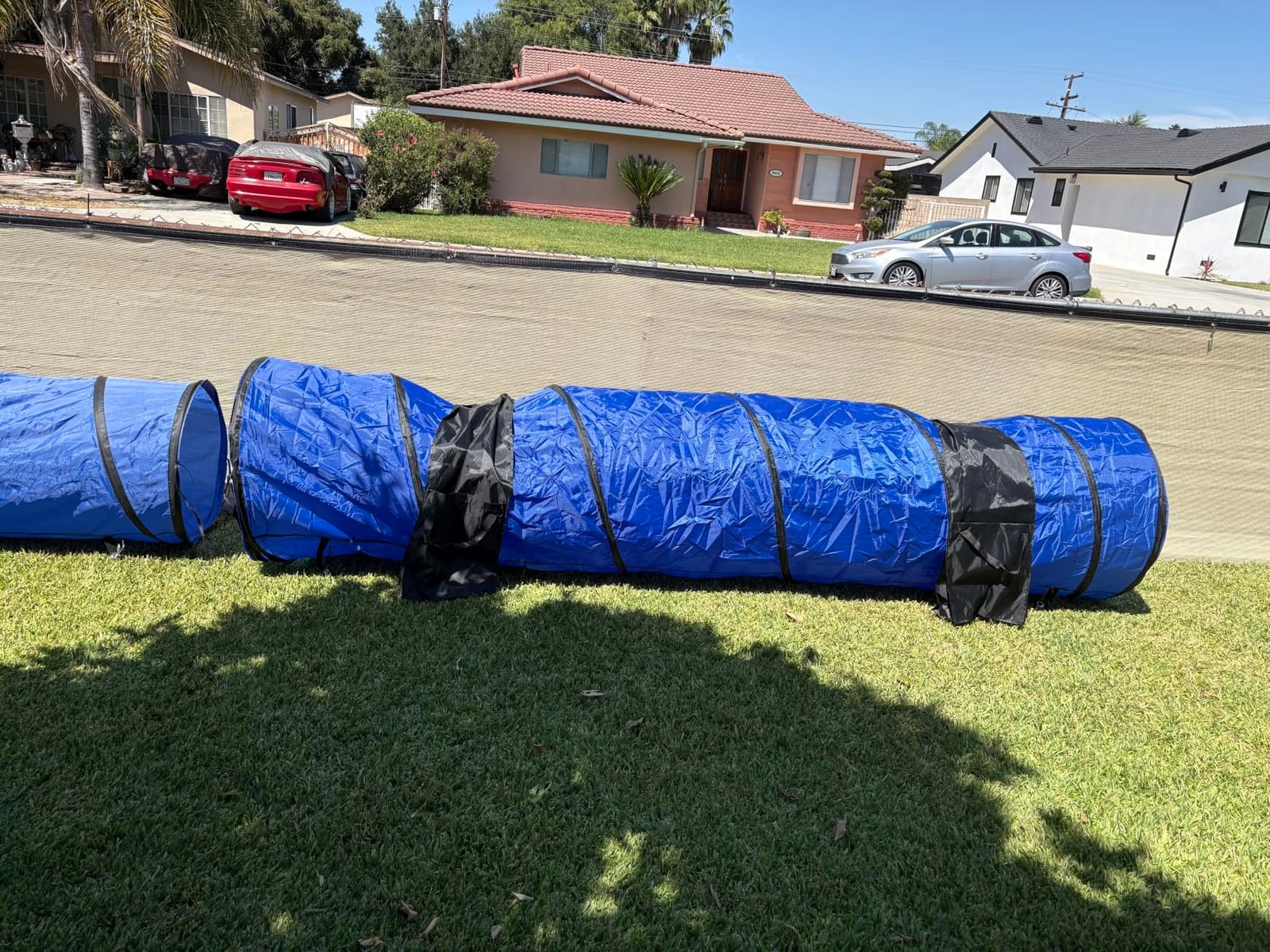 POPMOON Agility Training Equipment for Dogs, 13 PCS Dog Agility Equipment | Backyard & Indoor Training Professional Agility Course for Dogs with Adjustable Jumps,Collapsible Tunnel,Ball,Storage Bags customer photo 2