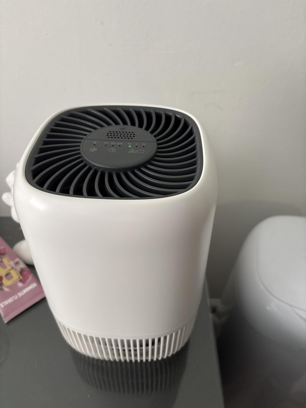 VOOPNU Air Purifiers for Home, High Efficiency Filter Up to 1076 Ft², White | for Pet Hair, Odors, Pollen, Smoke, Compact Air Cleaner with 3 Speeds, Timer, Aroma 22 dB Quiet 360°Intake, DH-JH12 customer photo 1