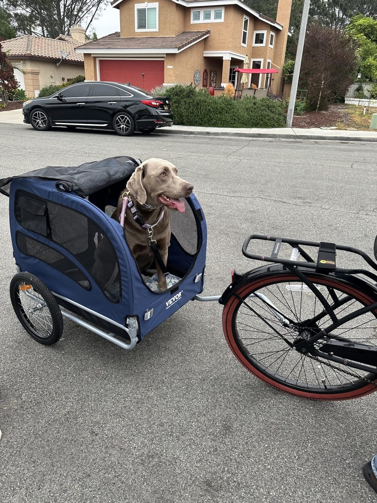 VEVOR Dog Bike Trailer, Supports up to 100 lbs, Pet Cart Bicycle Carrier, Easy Folding Frame with Quick Release Wheels, Universal Bicycle Coupler, Reflectors, Flag, Collapsible to Store customer photo 1