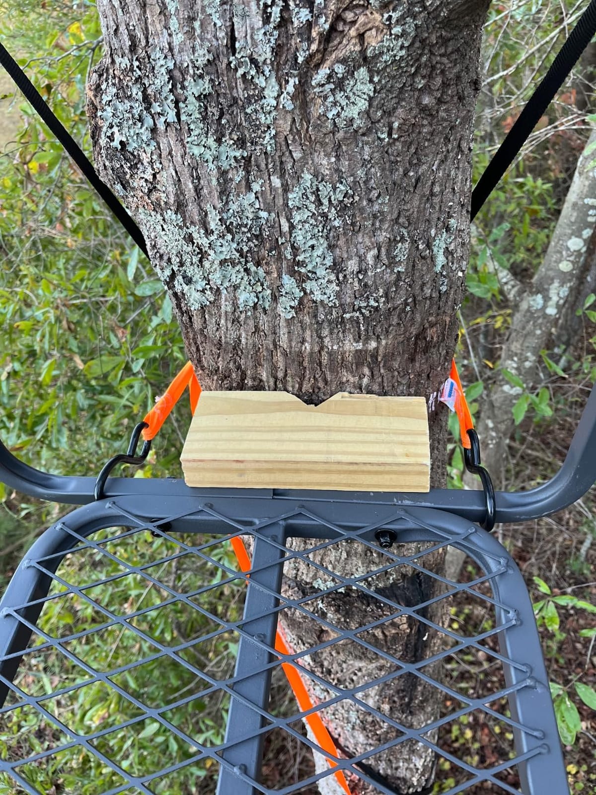 Guide Gear 15.5' Ladder Tree Stand for Hunting with Mesh Seat, Hunting Gear, Equipment, and Accessories customer photo 2