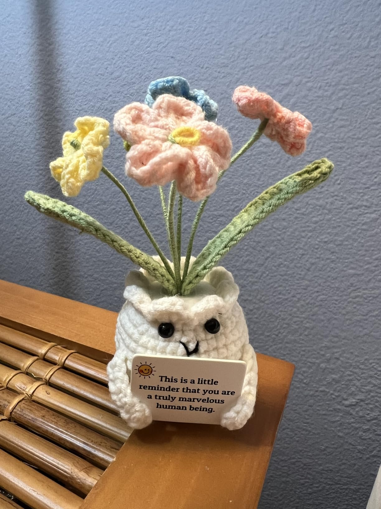Forget-Me-Not Crochet Flower Potted Plant Gift | Difference You Make Gift, PET Display Box, Teacher Appreciation, Coworker, Employee, Thank You Gift, Handmade Desk Decor customer photo 1