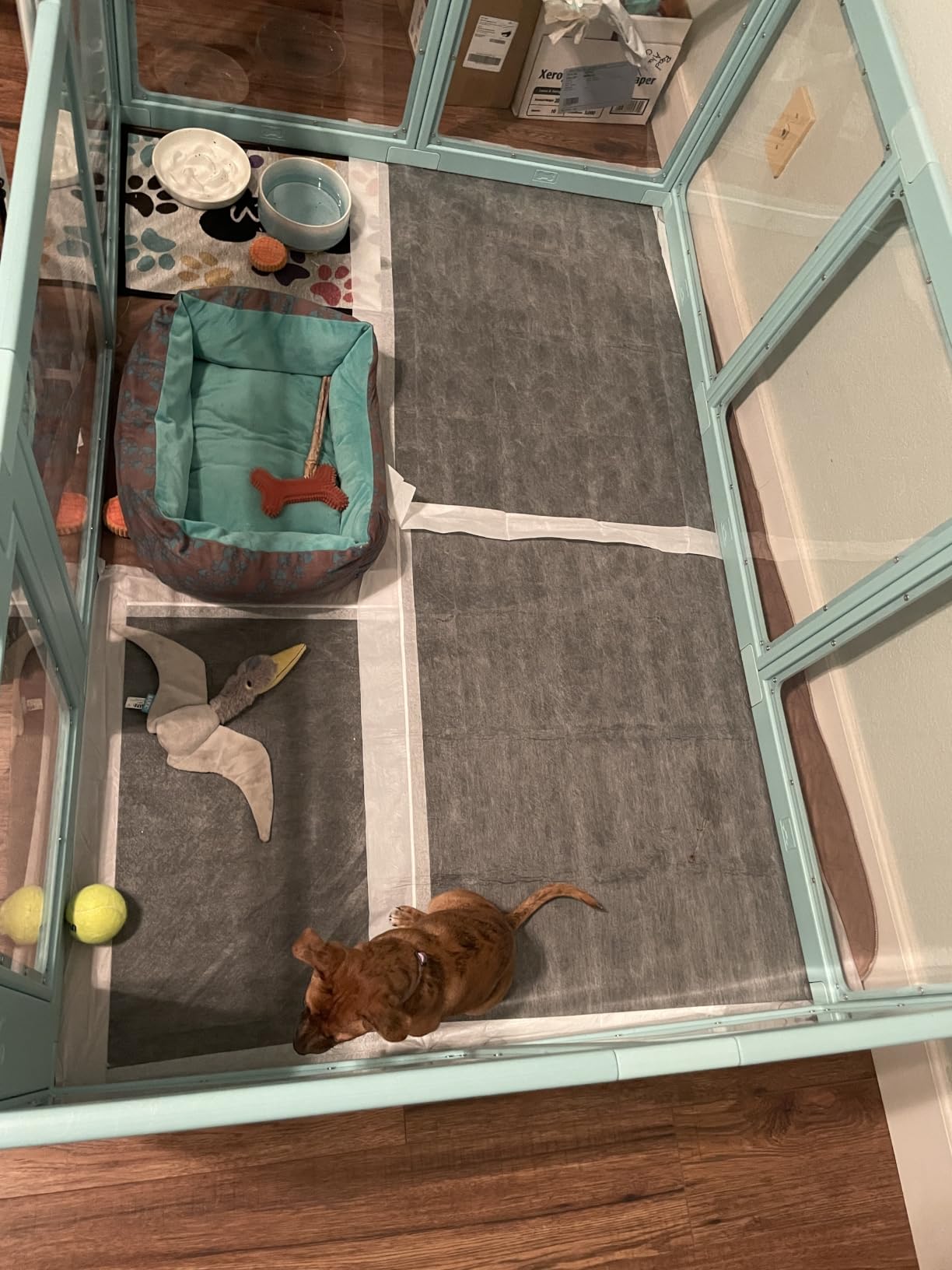 Clear Acrylic Dog Playpen Indoor Pet Pen, 24