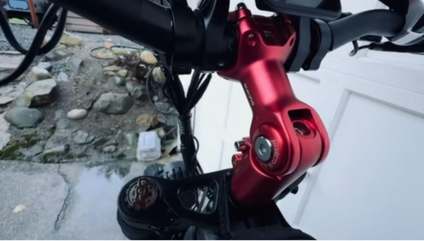 Dual Motor Electric Bike 4000W Peak 52V 20AH 24