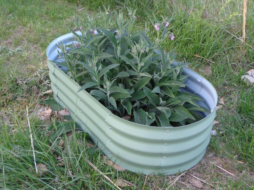 Galvanized Raised Garden Bed Kit, Planter Garden Boxes Outdoor, Oval Large Metal for Vegetables Fruits, Flowers Planter Boxes, Easy Assembly Garden Bed Kit (Silver, 4x2x1FT 2-Pack) customer photo 1