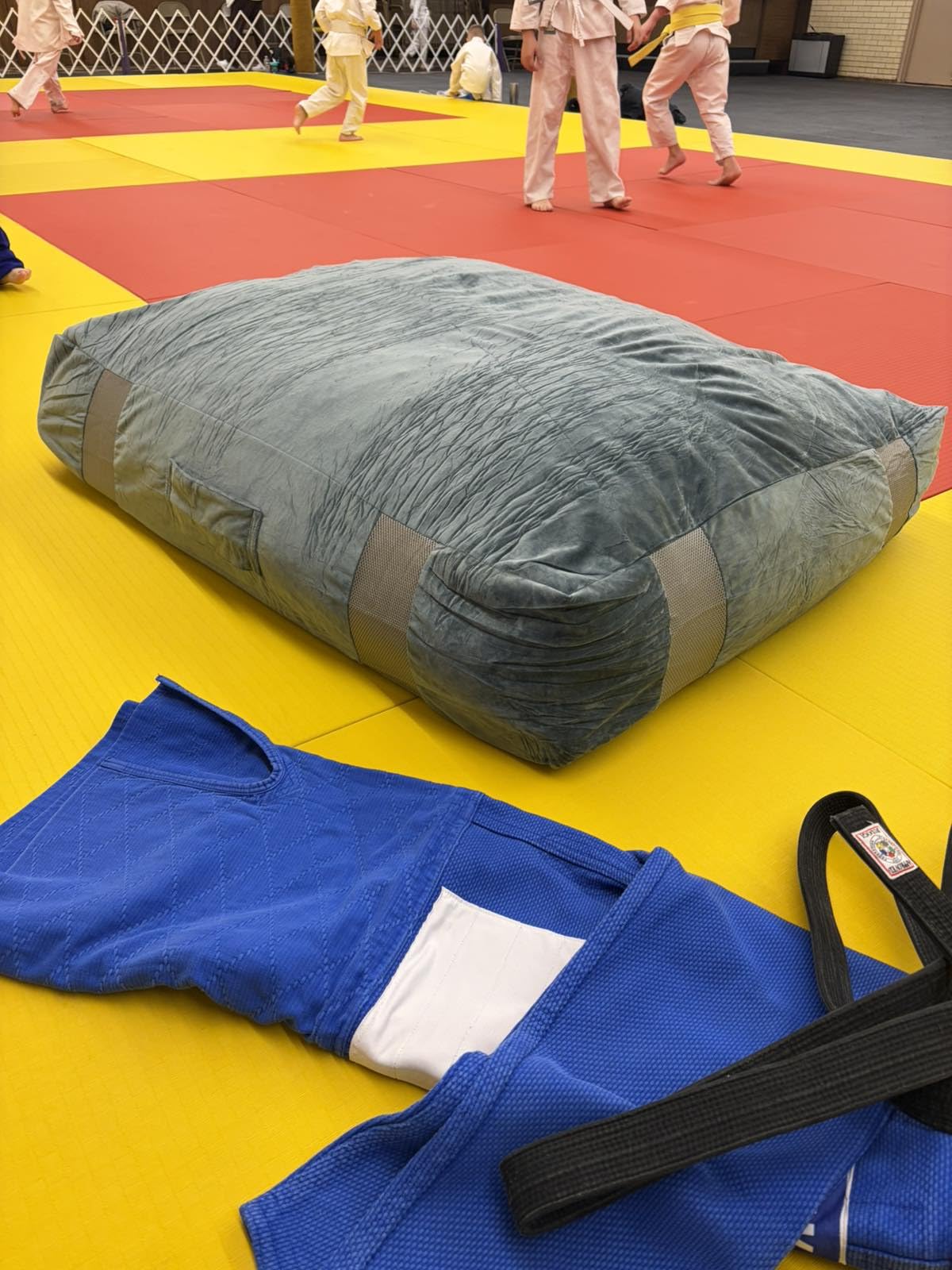 FINCOME Crash Sensory Pad for Kids Autistic Kids Landing Zone Sensory Tool | 2-Layer Foam for Autism, Easy-Clean Velvet Cover, Multi-Use/SIZE, Indoor & Outdoors Use Kids Jumping Pillow, Anxiety Relief customer photo 1