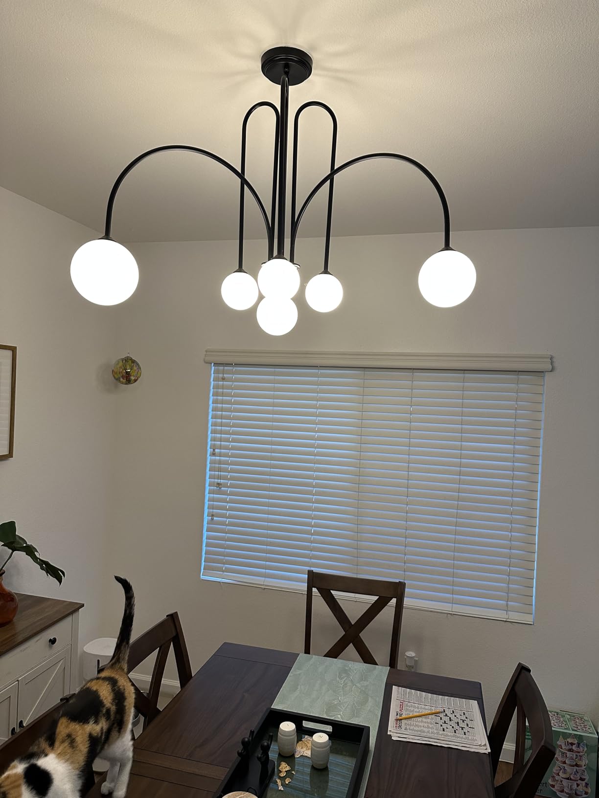 CATINER Modern 52