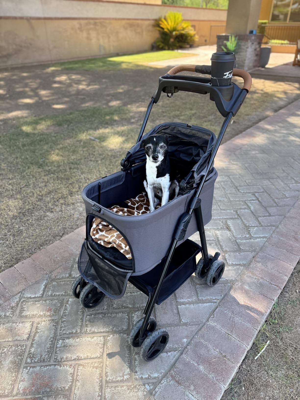 Zoosky 3 in 1 Dog Stroller, Folding Pet Stroller w/Removable Carrier | Small/Medium Dogs and Cats, Waterproof, All-Terrain & 2 Sun Shades, Car Seat, 360° Breathable Mesh customer photo 1