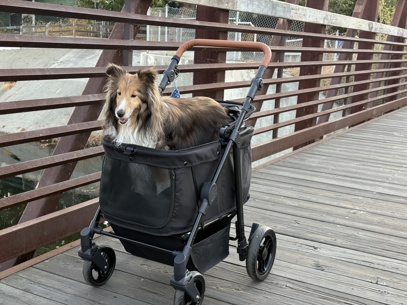Zoosky Medium Dog Stroller for Large Dogs, Pet Stroller, Up to 66lbs | All-Terrain 360° Swivel Wheels & Adjustable Handle & 180° Dual-Open Canopy, Sun Shades, Storage Organizer, Waterproof Oxford customer photo 1