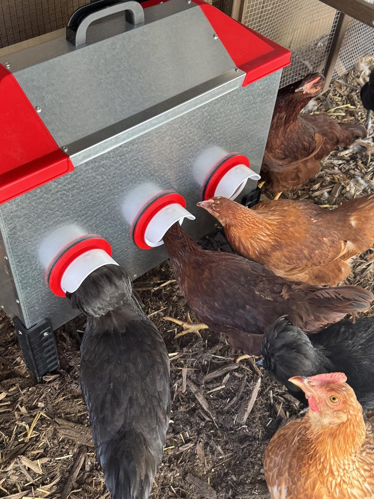RentACoop 65 lb Large Capacity Chicken Feeder with 6 Ports, Adjustable Legs customer photo 2