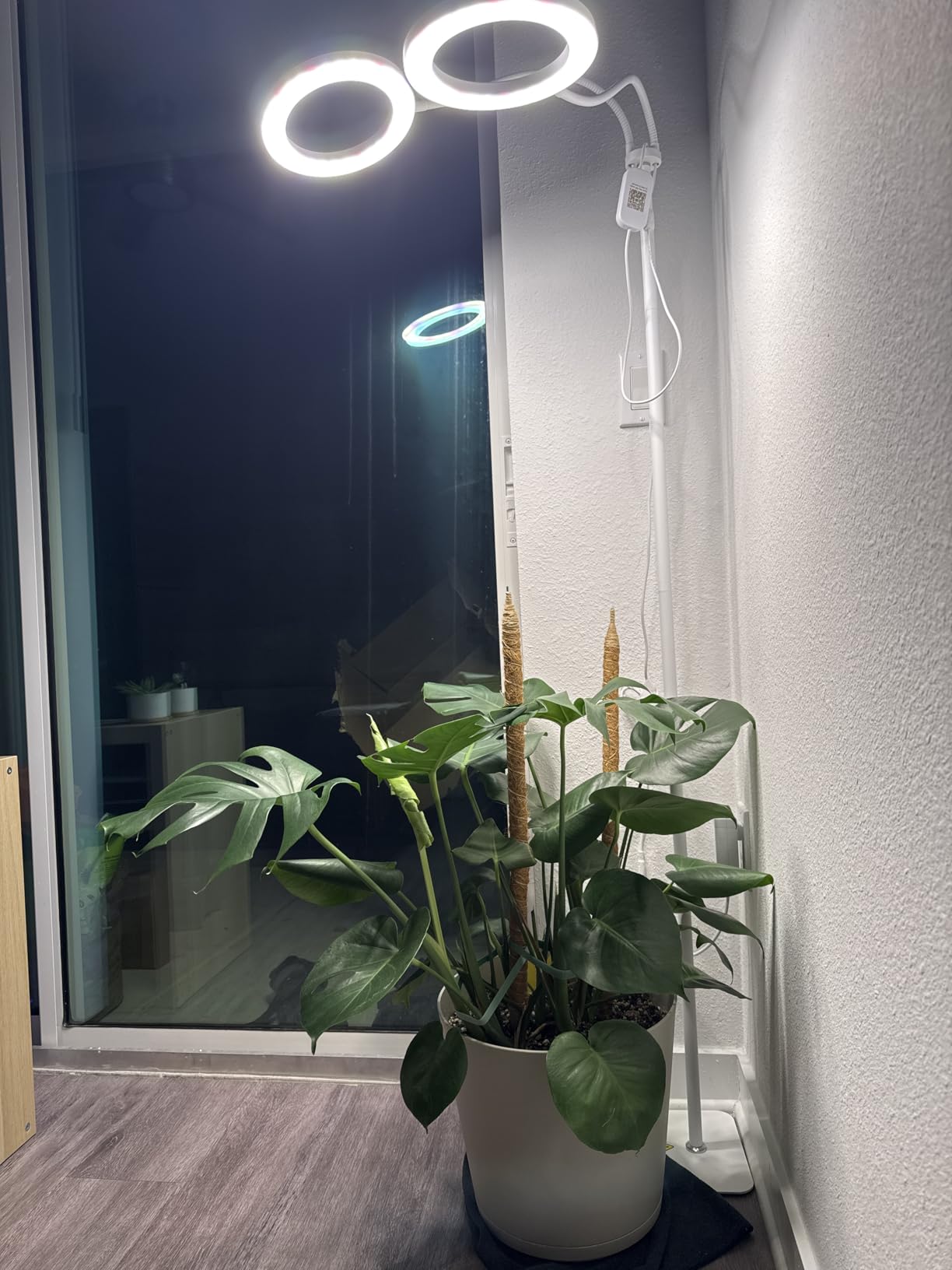 GLOWRIUM Tall Plant Grow Light for Indoor Plants, Full Spectrum Plant Light | 48W LED Grow Lamp with Dual Heads, 23.5-71
