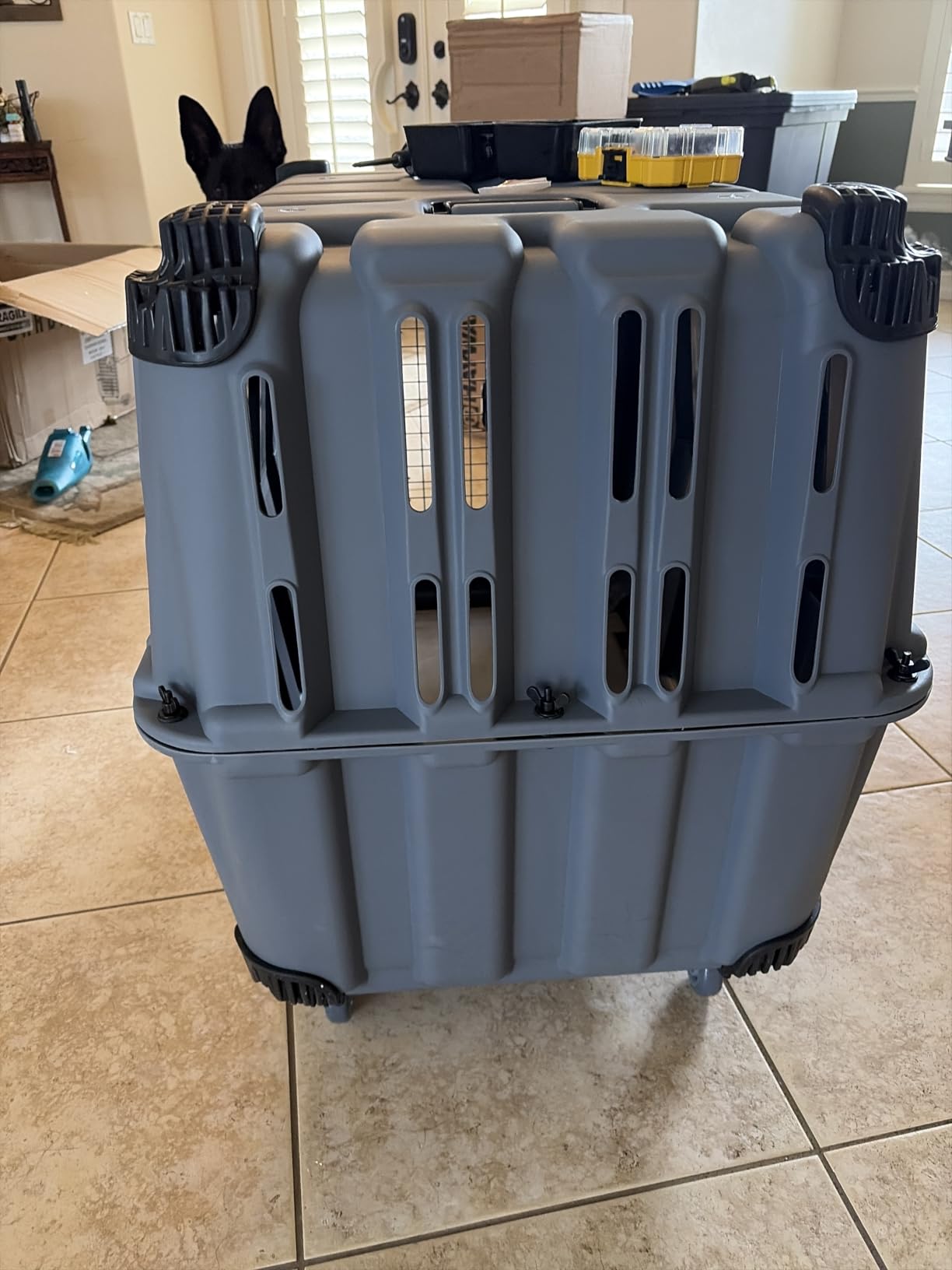 Mammoth Guardian Dog Kennel 36 inch Heavy Duty Travel & Outdoor Crate for Puppies, Small, Medium & Large Dogs, Secure 3 Bolt Lock, Adventure Ready for Hunting, Camping & Offroad - Gunmetal Gray customer photo 2