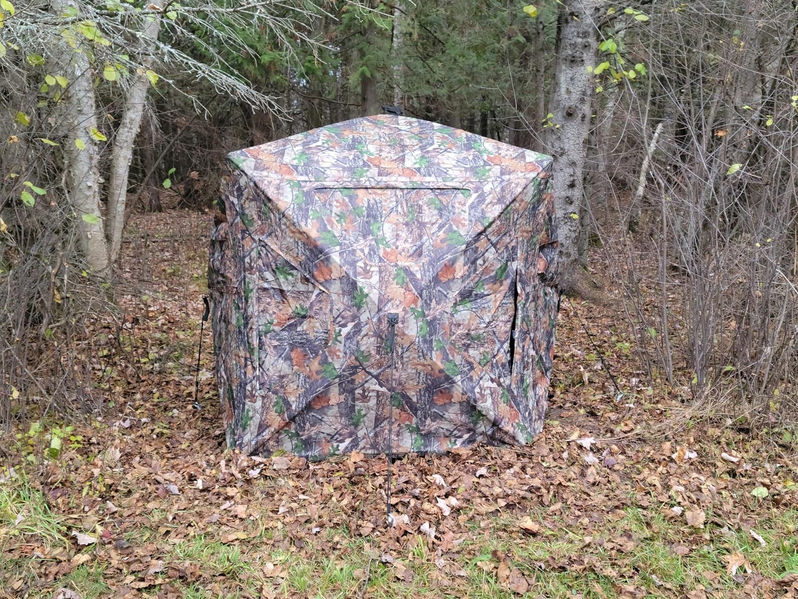 TIDEWE Hunting Blind 270° Full See Through with Windproof Curtain customer photo 1