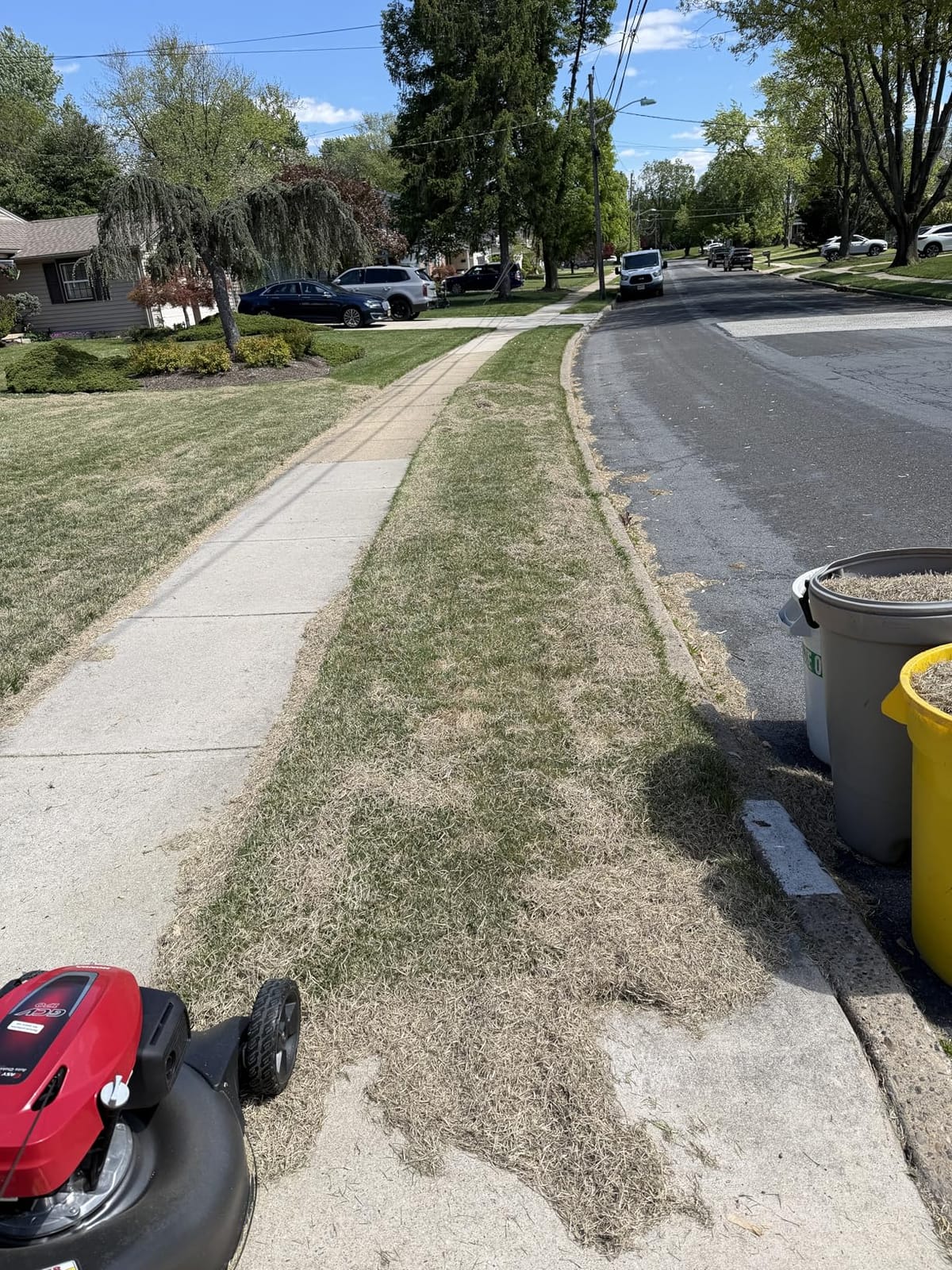 Sun Joe Corded Dethatcher & Scarifier with 13.2-Gal Bag, AJ808E | 15-Inch Cutting Width, 15-Amp Motor - Heavy-Duty Yard Trimmer Machine for Gardening Care and Lawn Maintenance customer photo 2