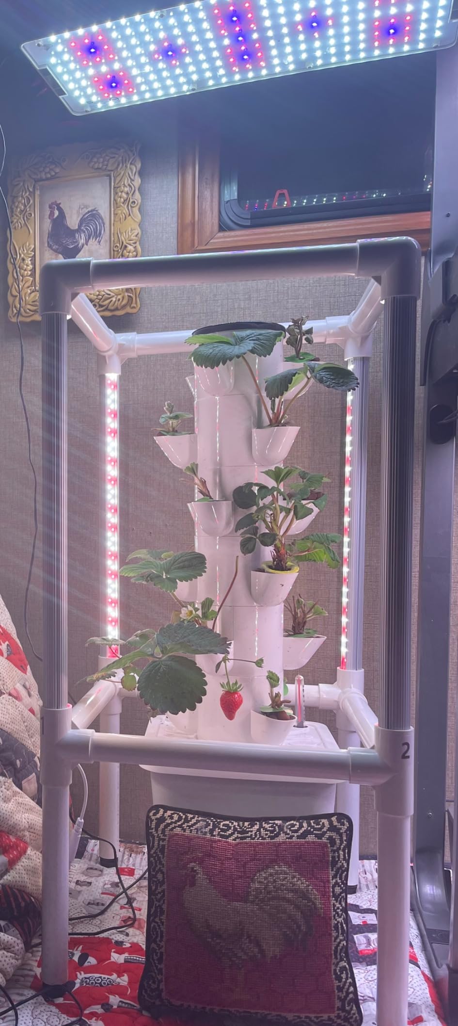 Vertical Hydroponics Growing System Kit, Indoor Outdoor Gardening System Kits, Herb & Fruits Growing Hydroponic Tower, 6 Layers (36 Pods) customer photo 1