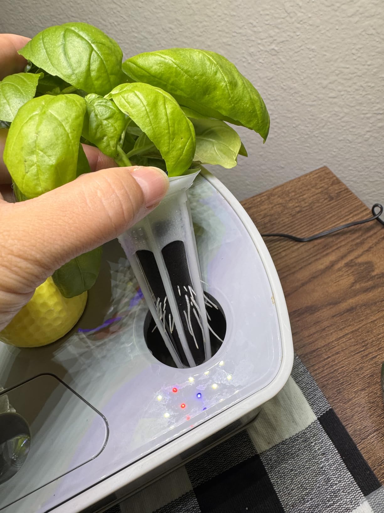 Vertical Hydroponics Growing System Kit, Indoor Outdoor Gardening System Kits, Herb & Fruits Growing Hydroponic Tower, 6 Layers (36 Pods) customer photo 2