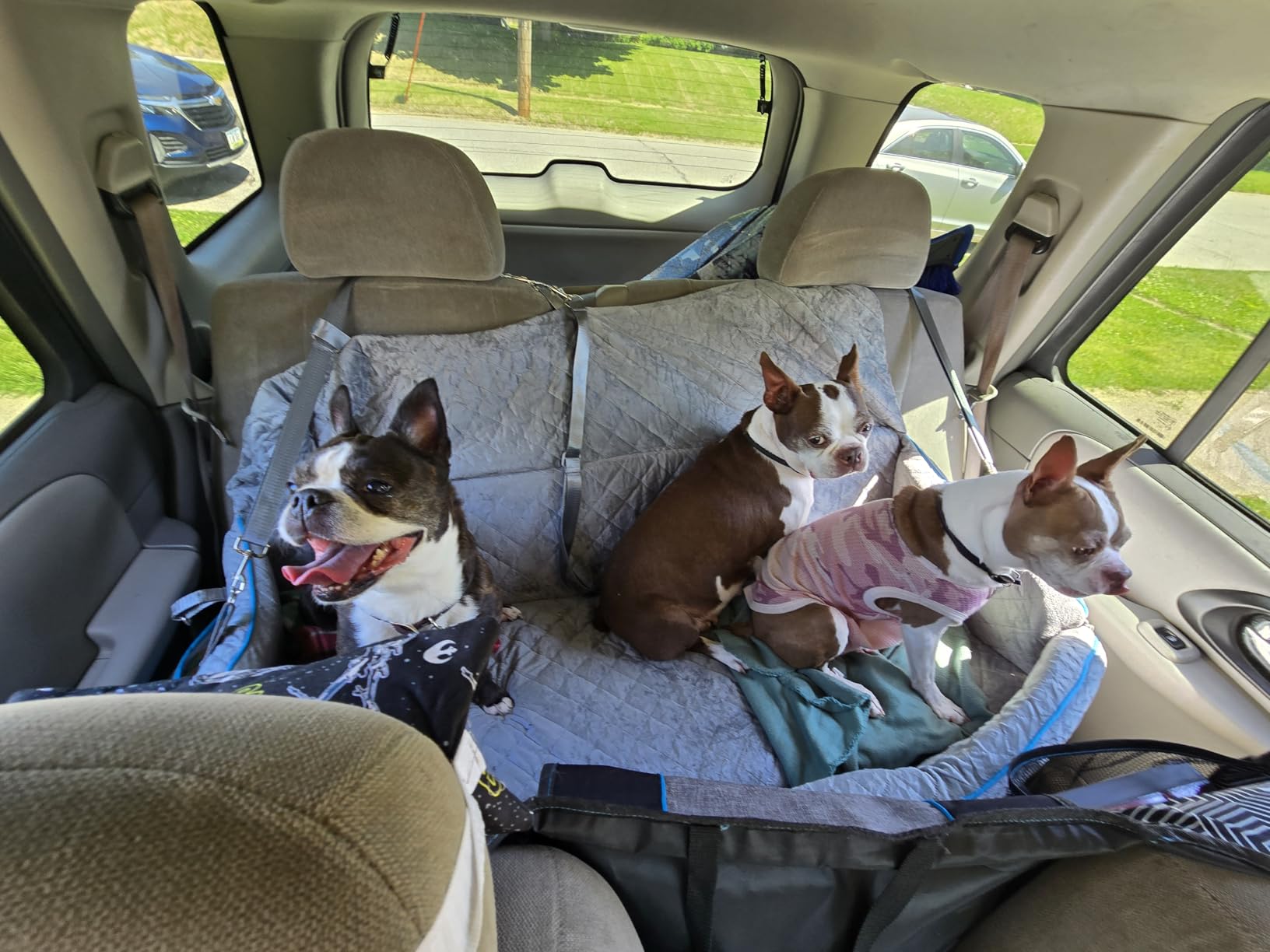 Large Dog Car Seat for Large Dogs Up to 120 lb, Thick Cushion, Black+Grey customer photo 2