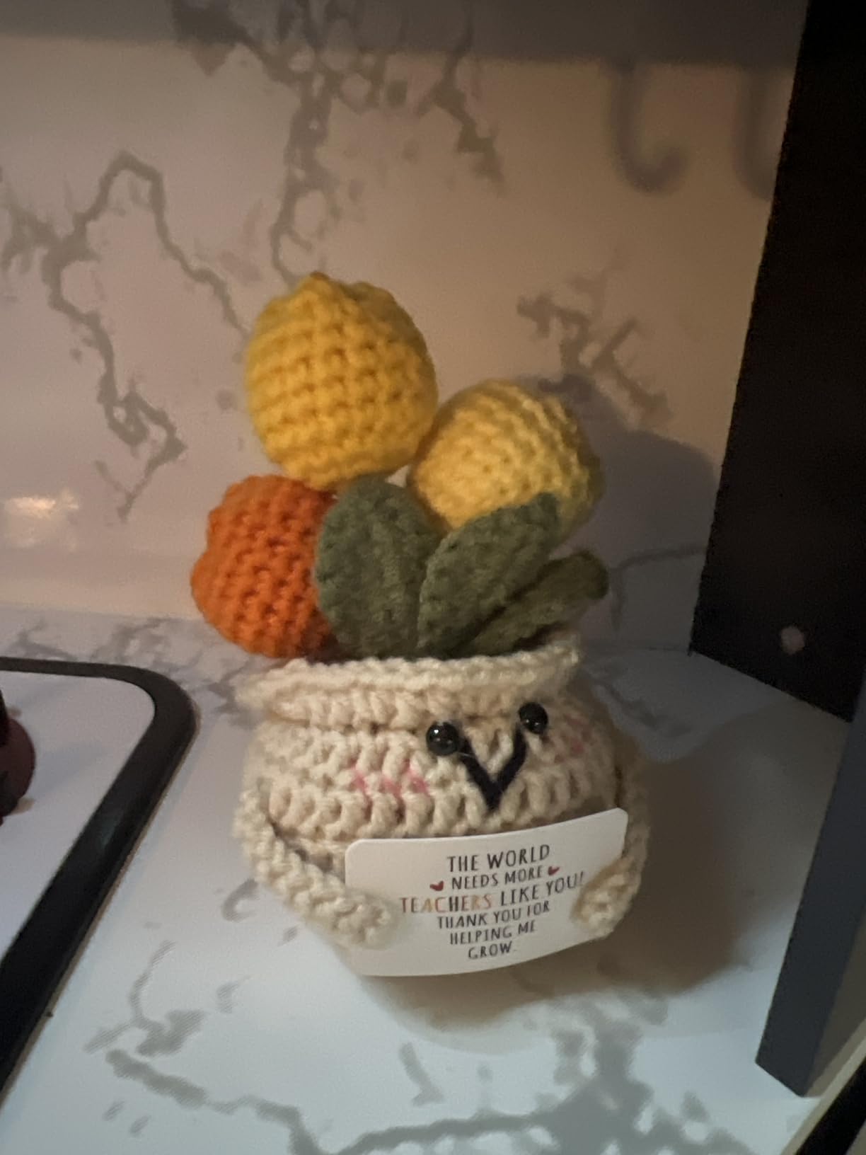 OASSIE Thank You Gifts for Women - Positive Emotional Support Crochet Tulip | Employee Appreciation Gifts for Coworkers Boss Nurse Friend, Retirement Gift for Woman, Back to School Teacher Gift customer photo 1