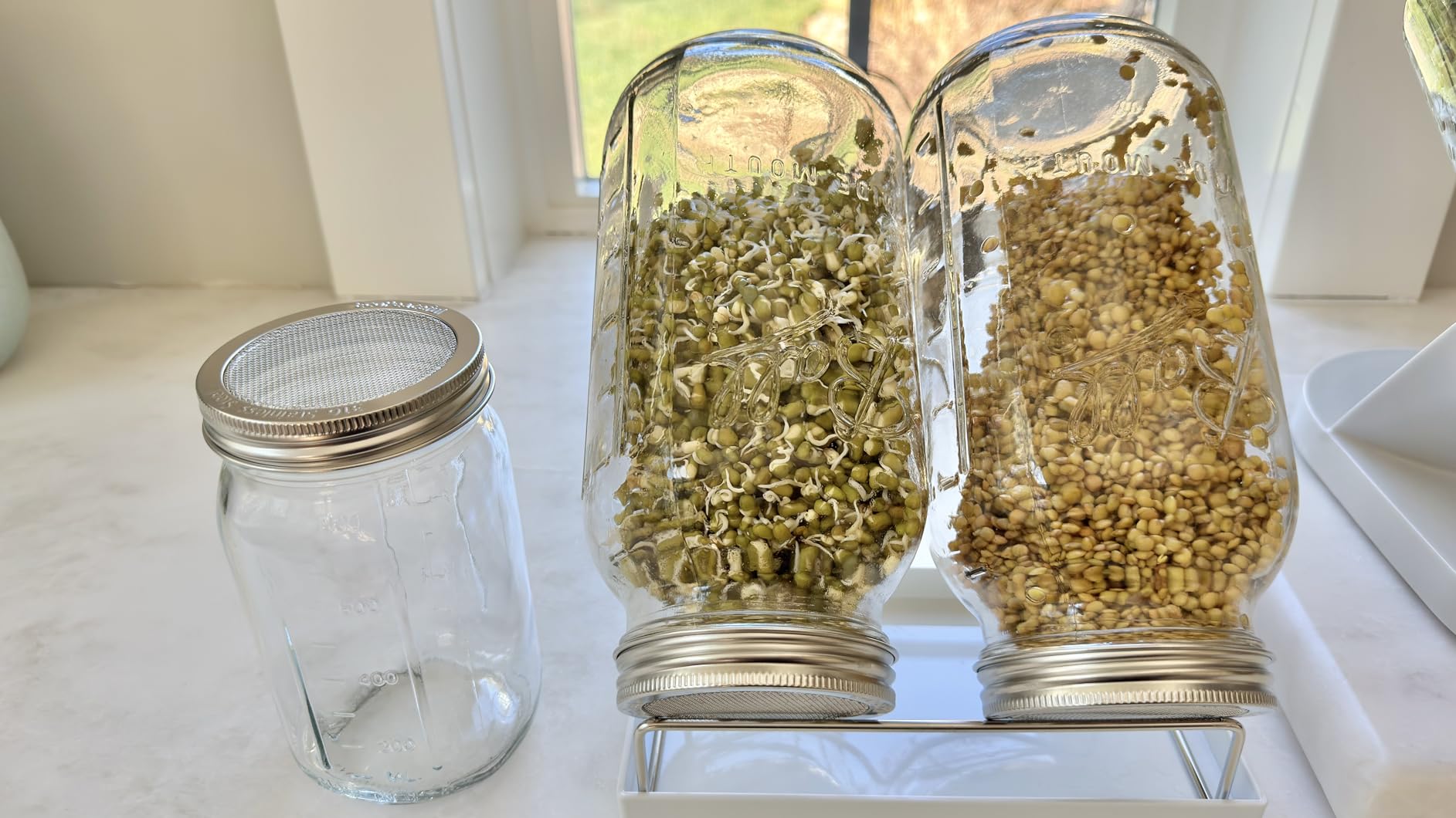 Kitmiido Organic Seed Sprouting Jar Kit - 2 x 32 oz Wide-Mouth Mason Jars | Stainless-Steel Sprouter Lids & Stand, Blackout Sleeves, Drain Tray, Grow Broccoli, Alfalfa & Bean Microgreens customer photo 1