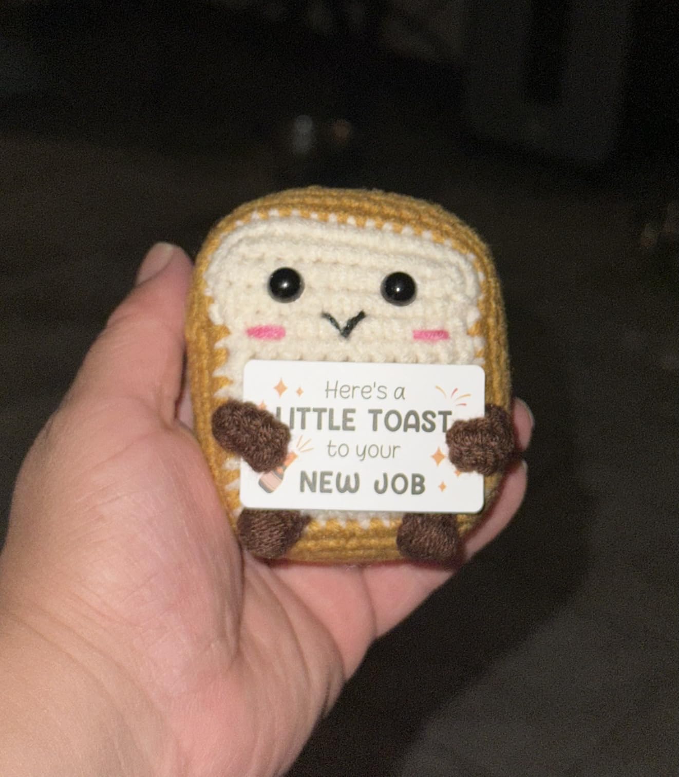 A Little Toast to Your New Home - Mini Handmade Crochet Toast, Funny Housewarming Gifts New Home New Apartment, House Warming Gifts New House for Women Men Friend customer photo 1