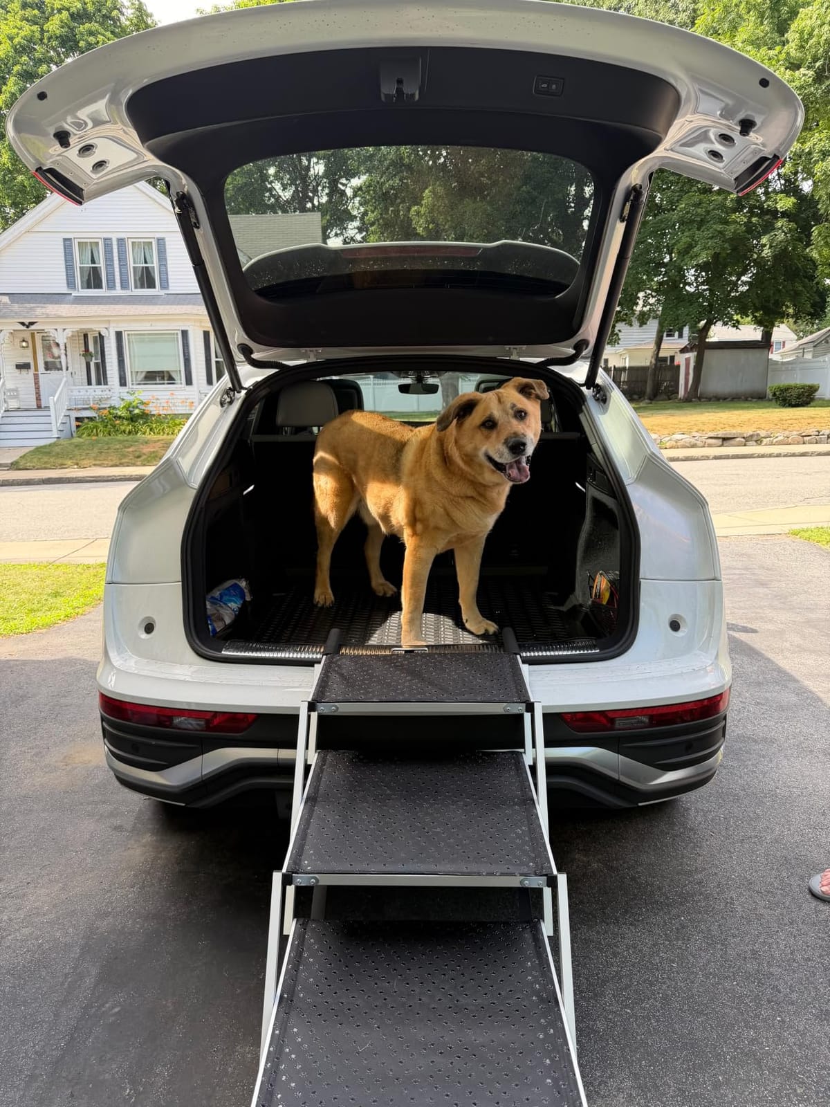 Dog Ramp for Car Truck 63