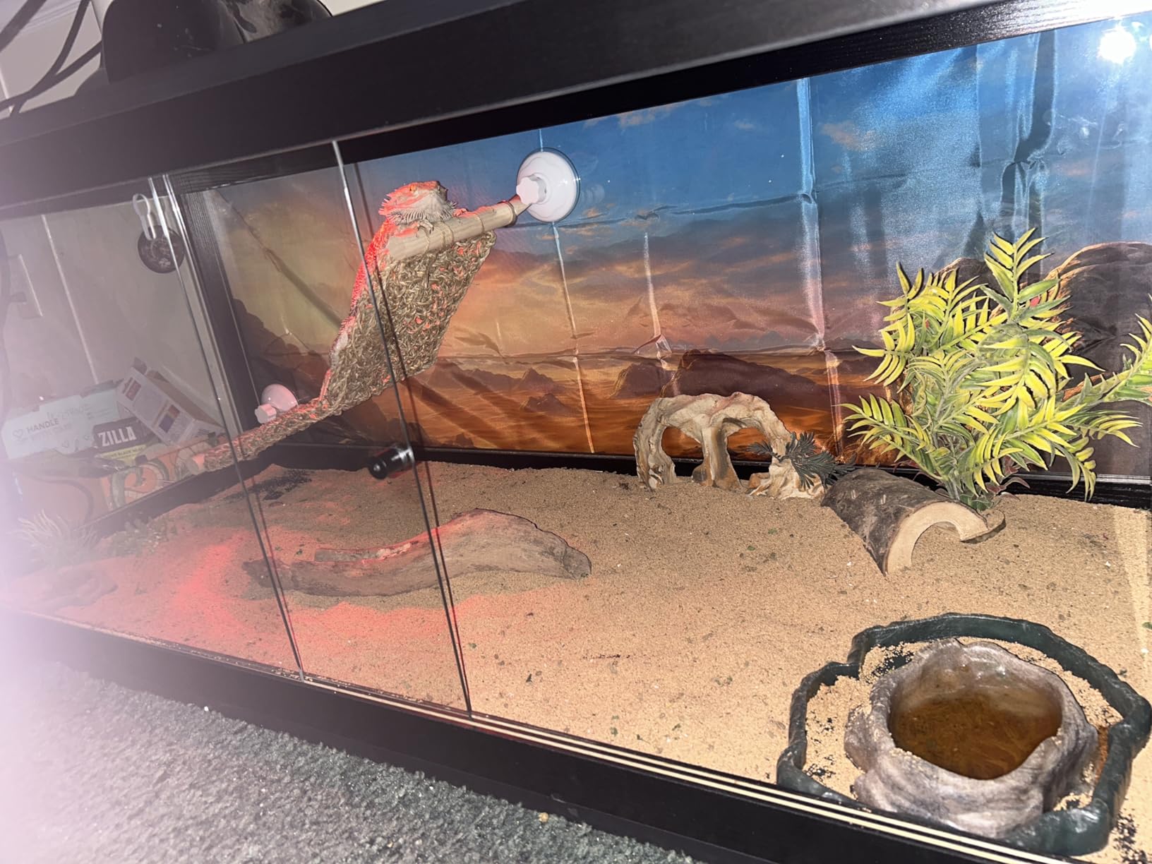 PROLEE 82 Gallon Bearded Dragon Tank, 48 x 20 x 20 Inch Tempered Glass Reptile Enclosure with Metal Mesh Top, Lockable Sliding Front Doors, Large Lizard and Snake Terrarium, Black customer photo 1
