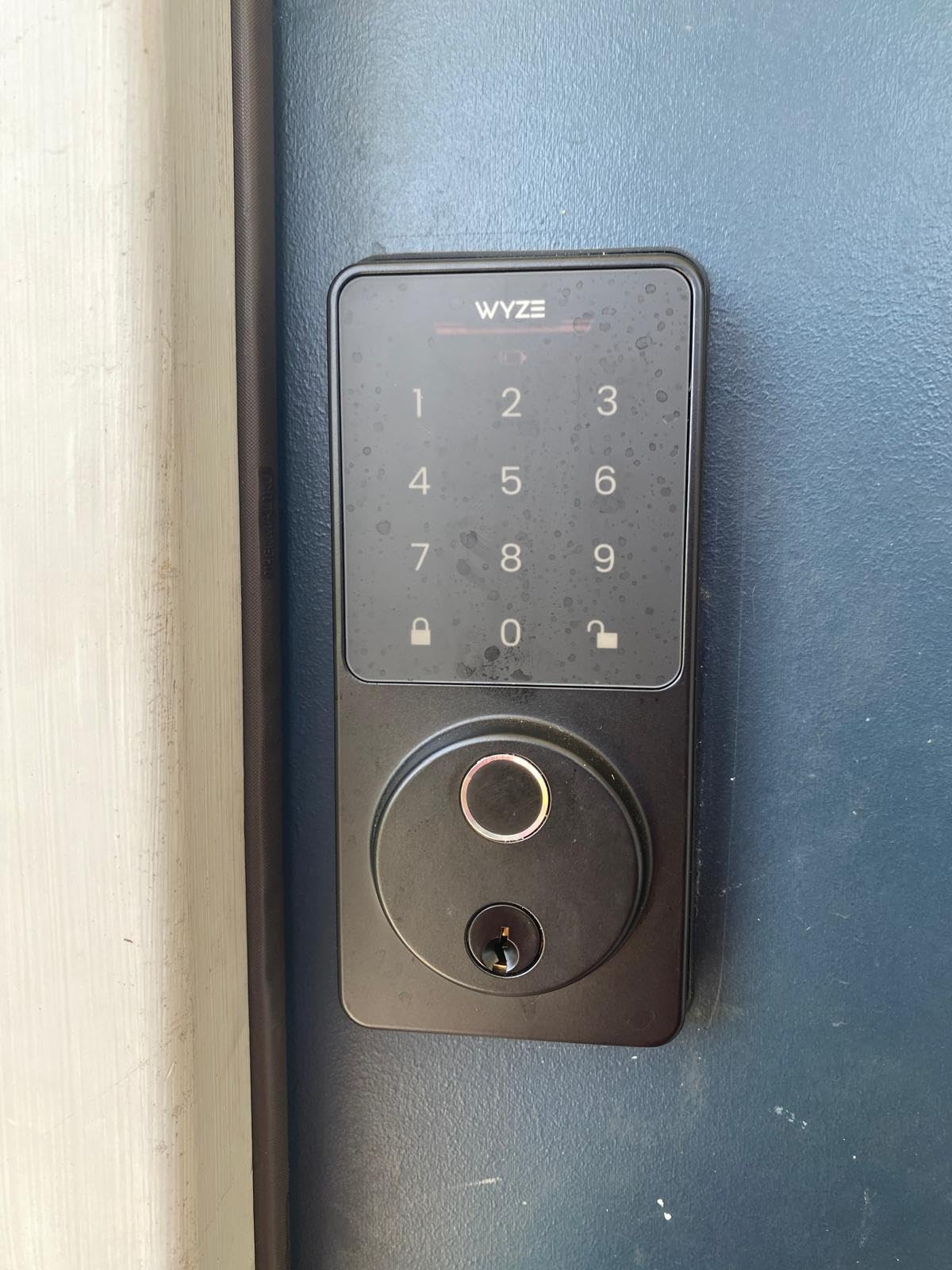 Wyze Auto-Lock Bolt v2, Fingerprint Keyless Entry Smart Lock, AI Learning Scanner with Wi-Fi Front Door Lock Deadbolt, Auto-Lock, 8 Months Battery, BHMA2, IP53, Anti-Peep Keypad, Backup Keys customer photo 1