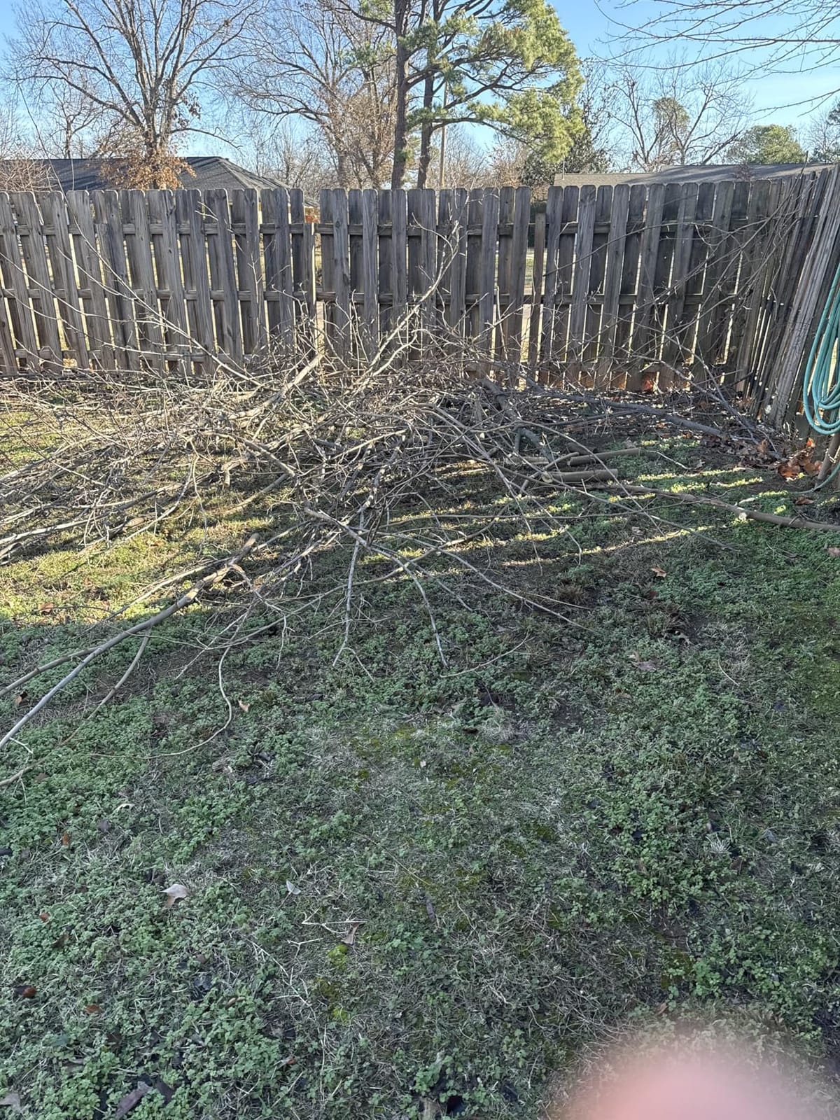14.5FT Pole Saw with Adjustable Length for Tree Trimming, Lightweight Manual Pruning Saw with Mn Steel Blade, Long Extension Branch Cutter Pole Pruner for Yard, Garden, Patio & Forestry Use customer photo 2