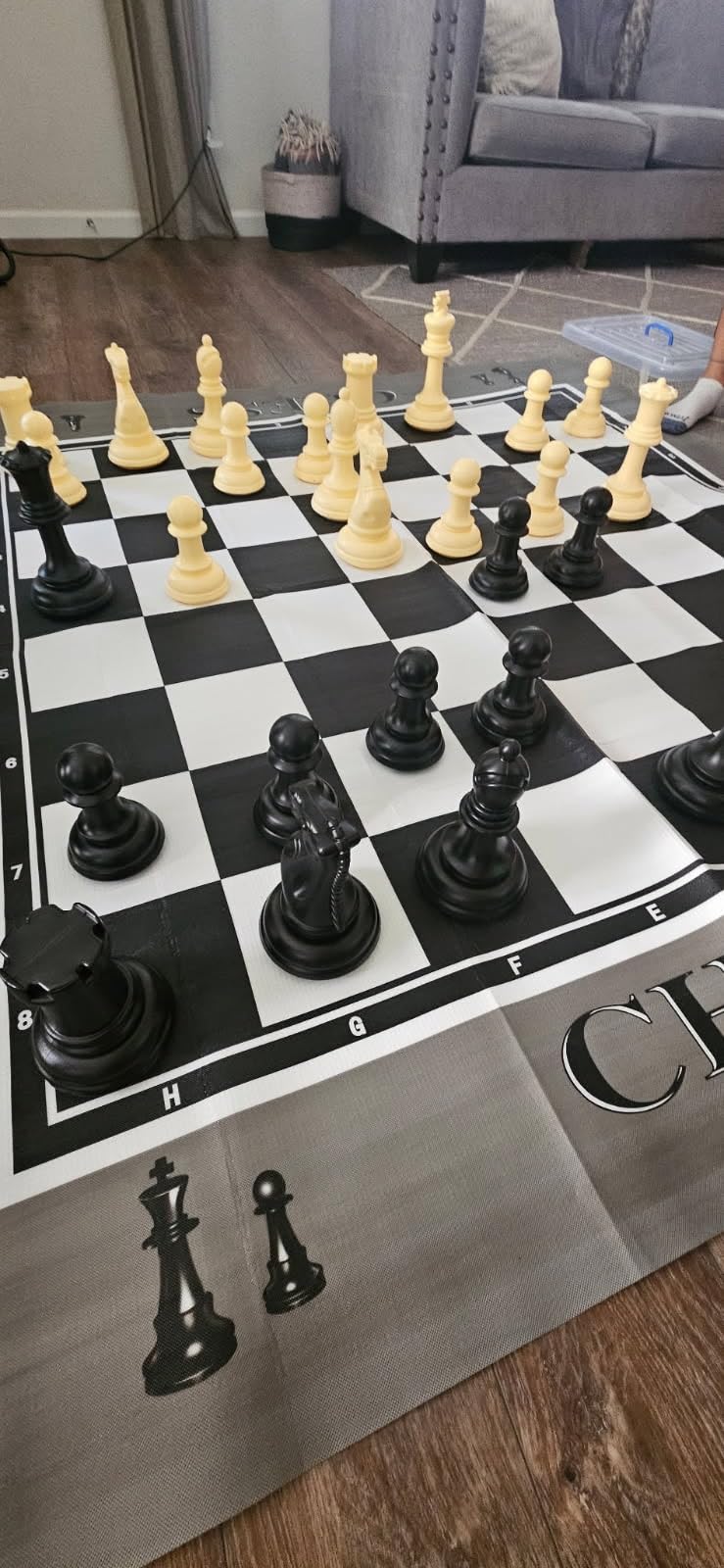 RAINBOW TOYFROG King Size Giant Chess Set with 10 Inch Pieces - Oversized Plastic Chess Game for Indoor/Outdoor Use with Waterproof Mat and Storage Box customer photo 2