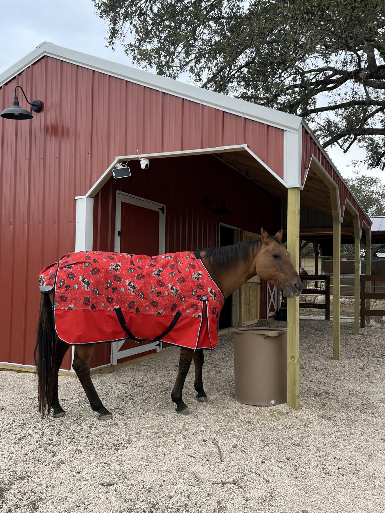WeatherBeeta ComFiTec Essential Turnout 220g, Rodeo Print, 78