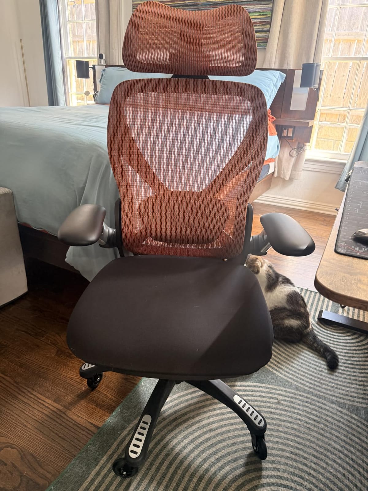 ELABEST X100 Ergonomic Mesh Office Chair with Footrest, Big and Tall Home Desk Chair with 5D Flip-Up Arms, Adjustable 3D Lumbar Support, Gaming & Executive Computer Chair (Foggy Morning) customer photo 2