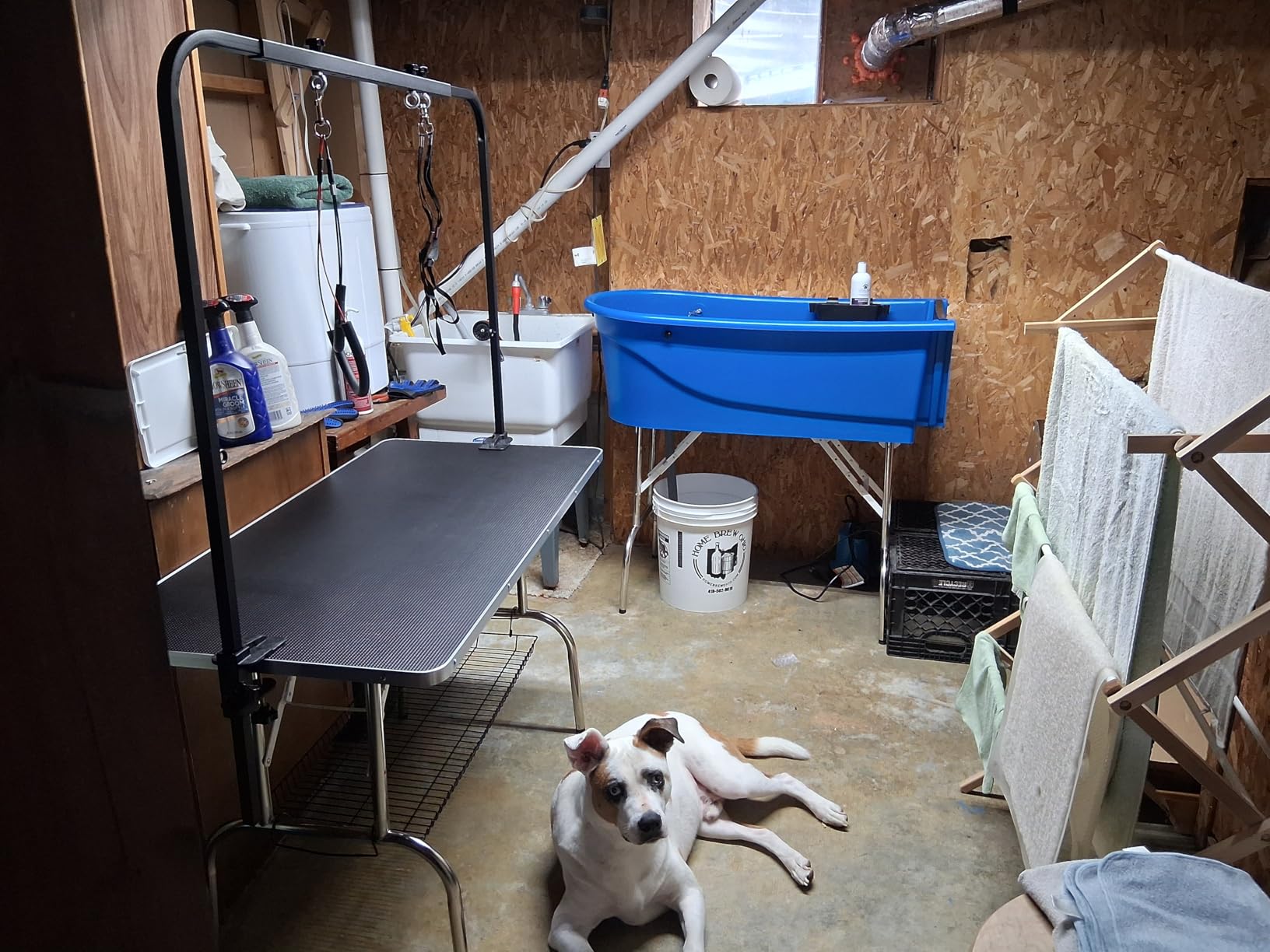 SHELANDY 46-in Dog Grooming Table for Large Pets customer photo 2