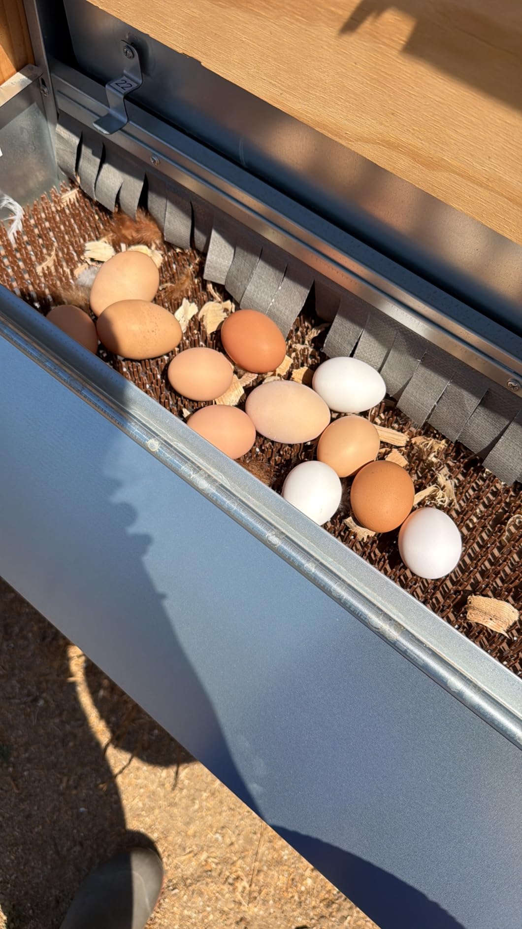 Redants Chicken Nesting Box, Metal Chicken Laying Box with Roll Away Egg Collection, Reversible Wall Mountable Chicken Coop Nesting Boxes for Hens, Ducks, Waterproof, Up to 20+ Hens customer photo 1