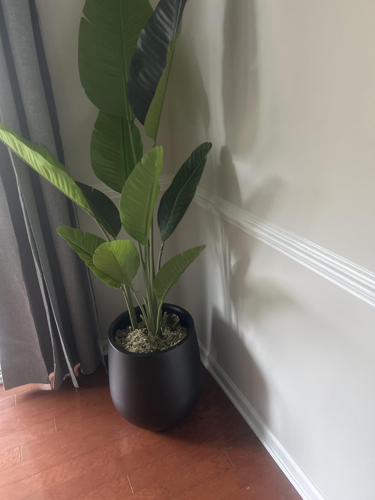 KUTE NEST 11.4