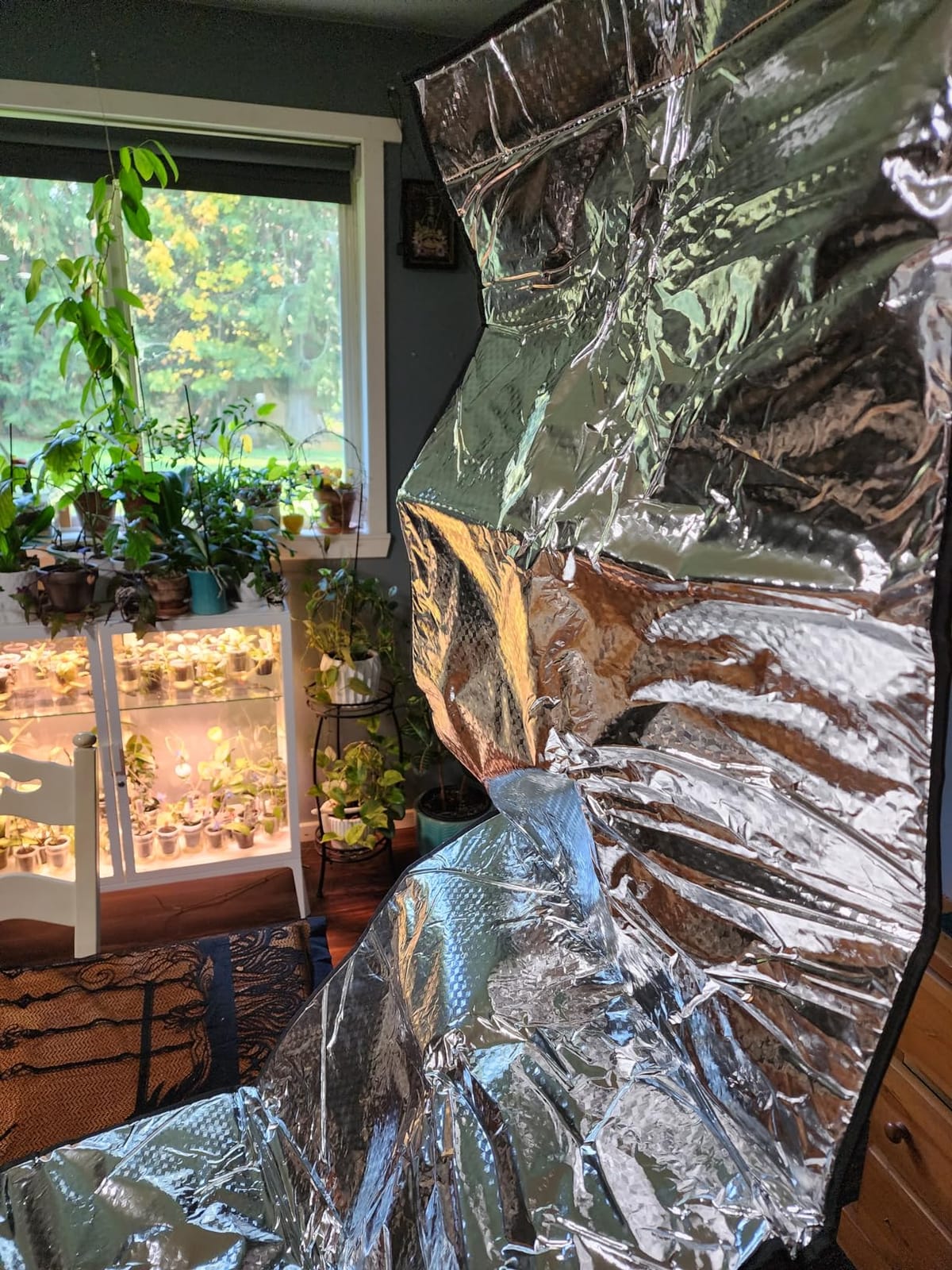 Winter Bee Hive Wrap for 10 and 8 Frame Beehives, 2 Deep Boxes & 2 Medium Box Adjustable Beehive Winter Protection Cover, 600D Oxford Cozy Windproof Warm Bee Hive Insulation Wrap customer photo 1