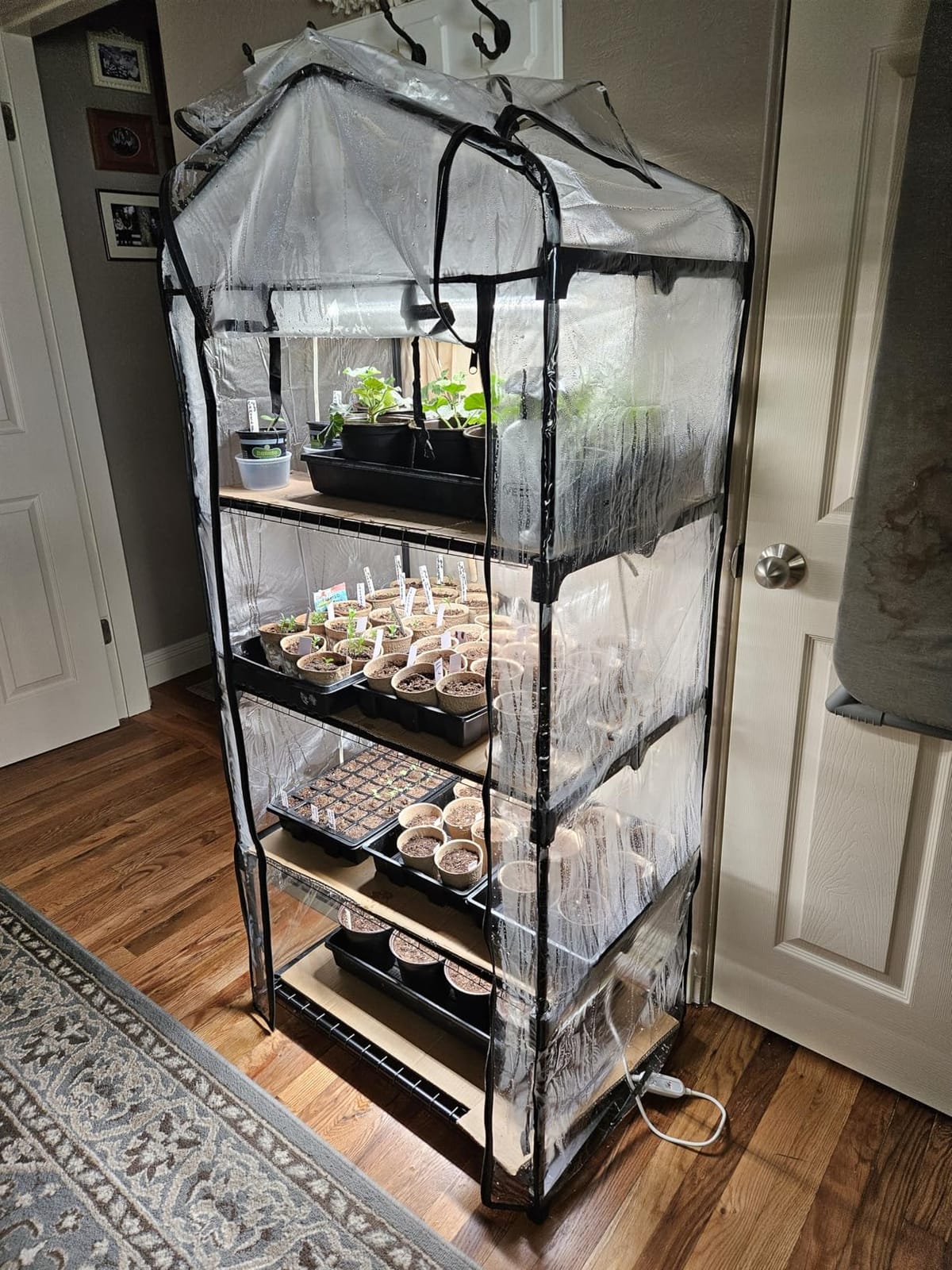 Bstrip Indoor Greenhouse with Grow Light, 5-Tier Large Greenhouse Cabinet | 5x24W LED Grow Lights, Clear PVC Cover, 5 Heavy Duty Shelves, Airflow Windows, Zippered Door, 40.2x18.9x74.8in, Auto Timer customer photo 1