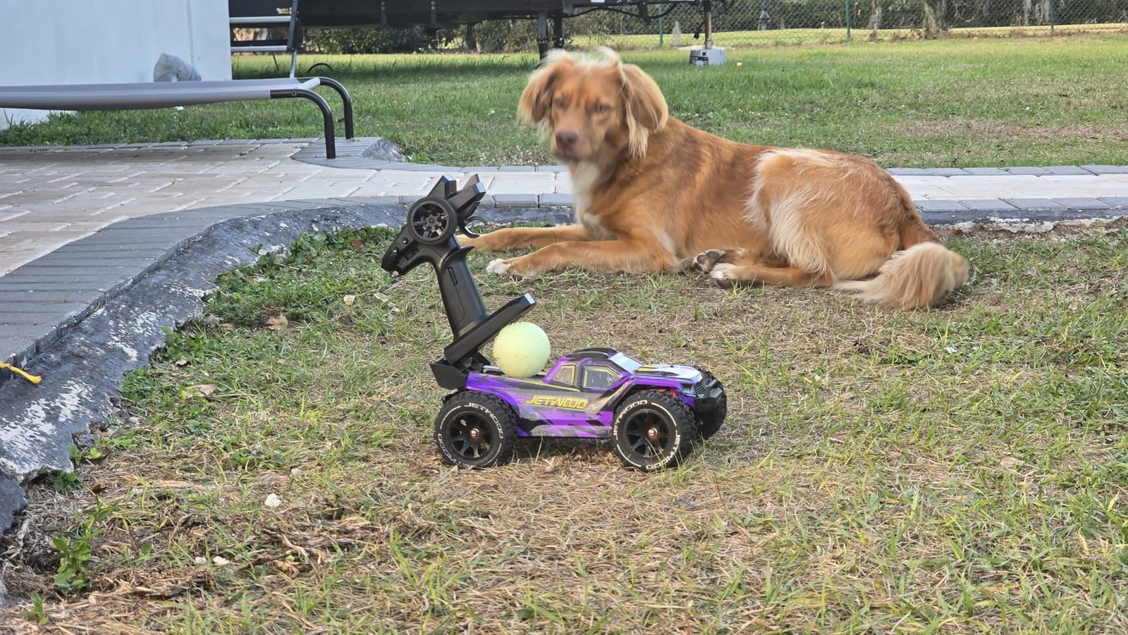 JETWOOD 1/14 50mph Electric Brushless RC Car for Adults, JC14EP V3 All Terrain Super Fast Remote Control Car, Offroad RTR Hobby RC Trucks, Waterproof 3S High Speed, Metal Gear Servo (Upgraded Version) customer photo 2